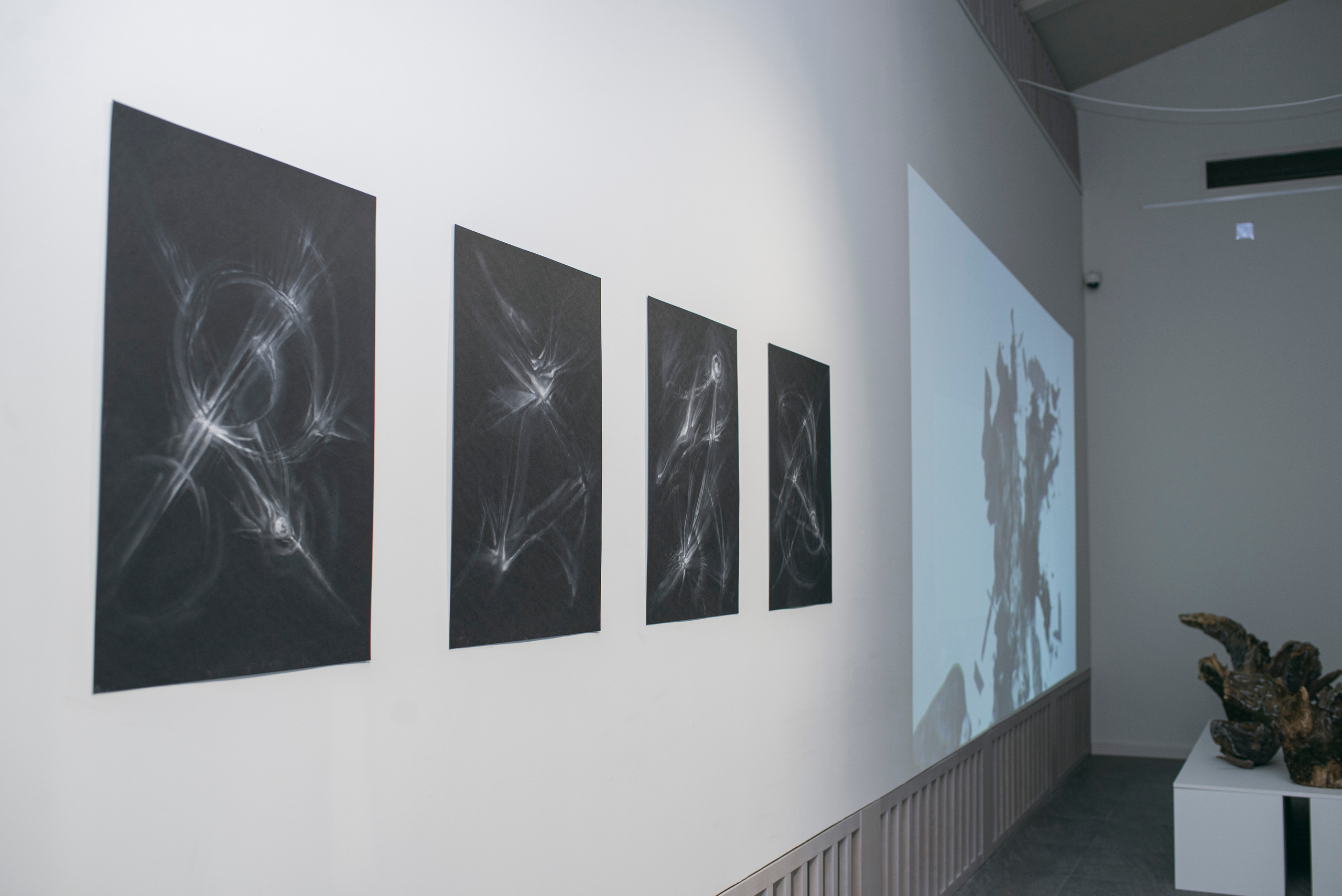 Выставка в музее–усадьбе Архангельское «Свет и воздух» Школа Дизайна НИУ ВШЭ. Фотограф в Москве Алейникова Евгения