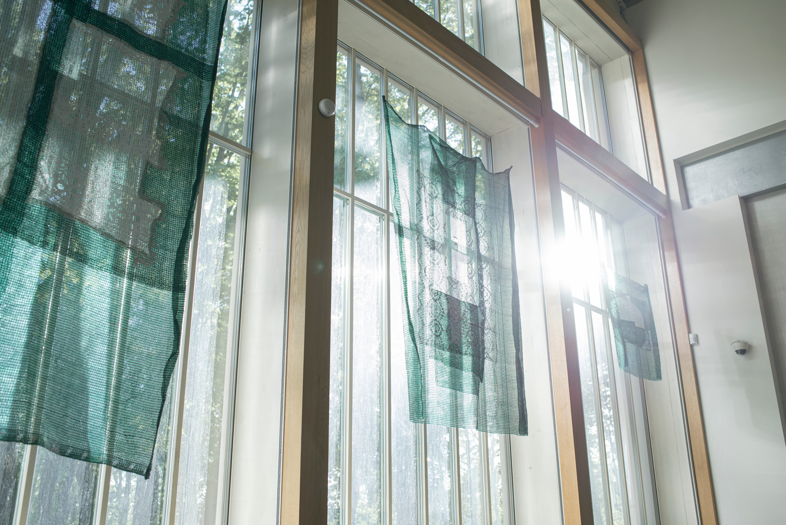 Выставка в музее–усадьбе Архангельское «Свет и воздух» Школа Дизайна НИУ ВШЭ. Фотограф в Москве Алейникова Евгения