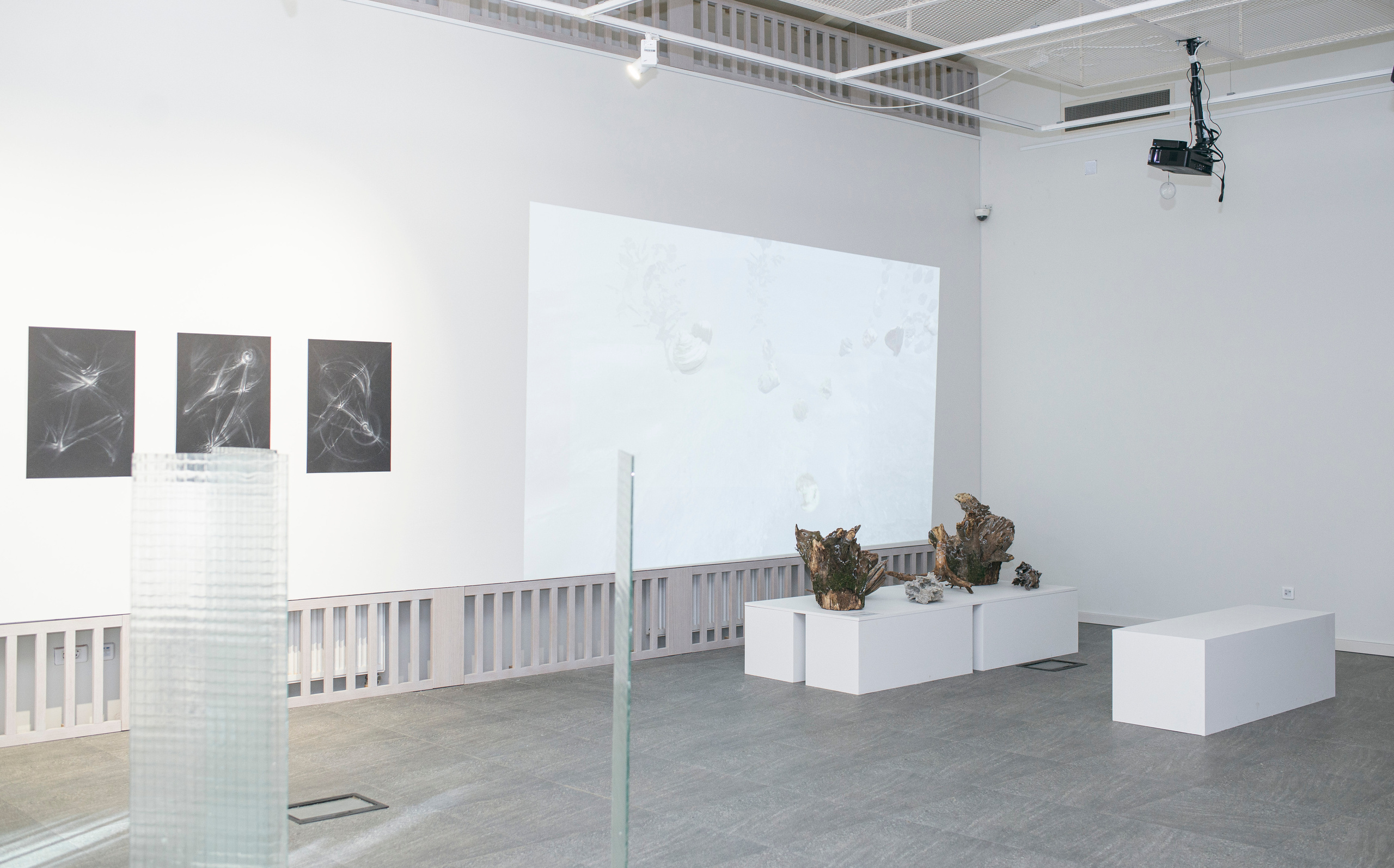 Выставка в музее–усадьбе Архангельское «Свет и воздух» Школа Дизайна НИУ ВШЭ. Фотограф в Москве Алейникова Евгения