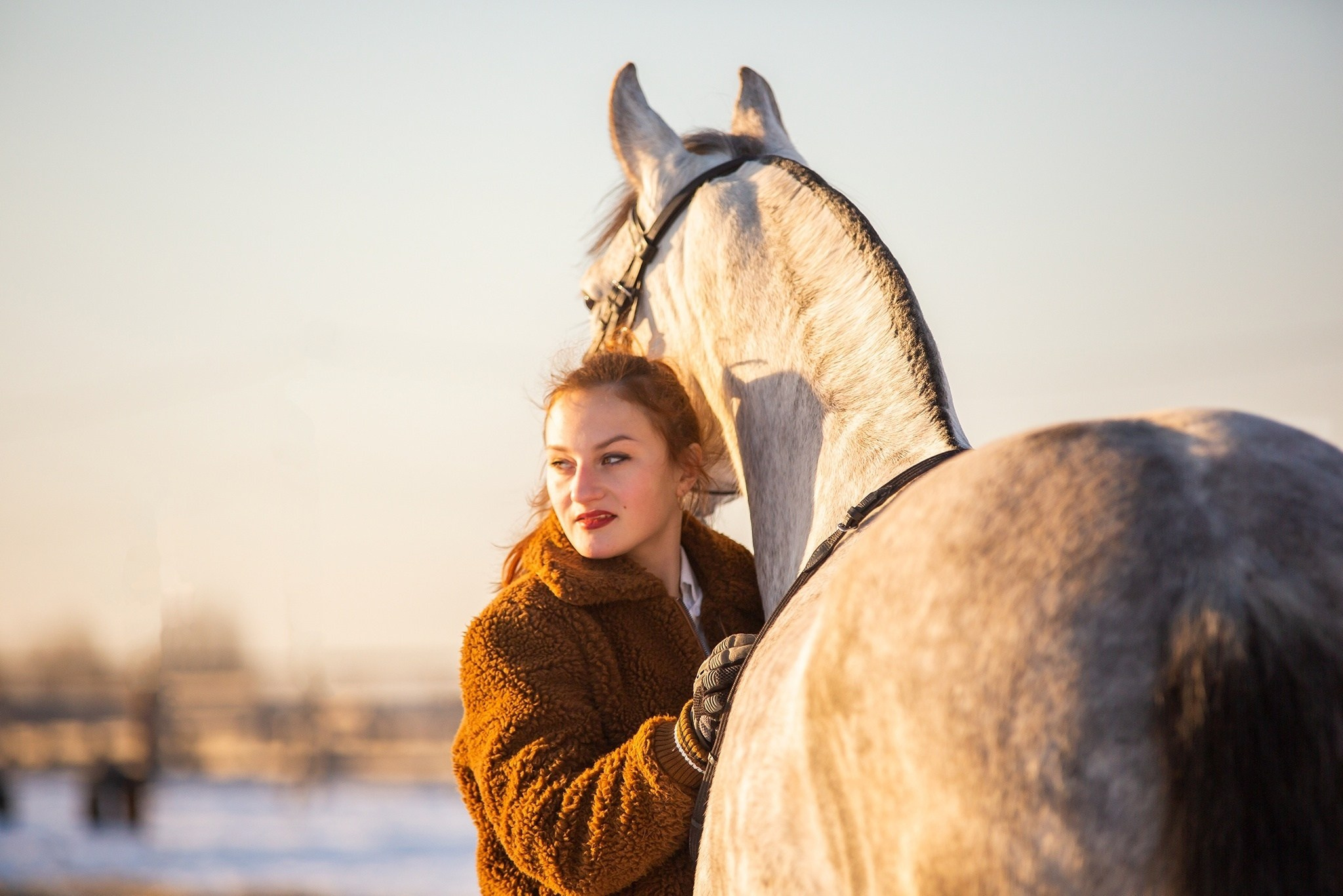 Зимние фотосессии. Конный фотограф Юлия Дроздова