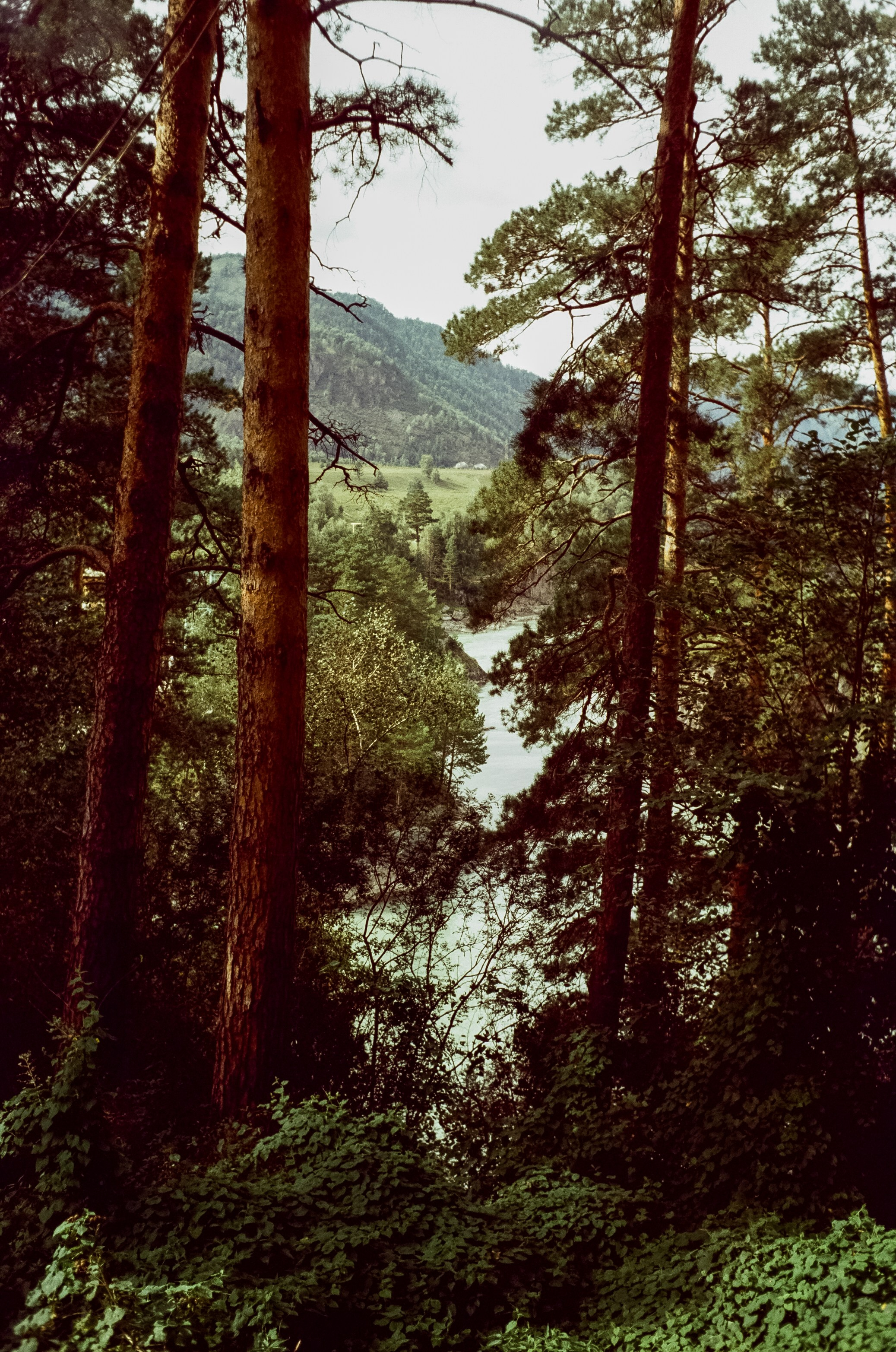 Остров Патмос и Сила Алтая, Семинский перевал / 29–30 августа 2024 года