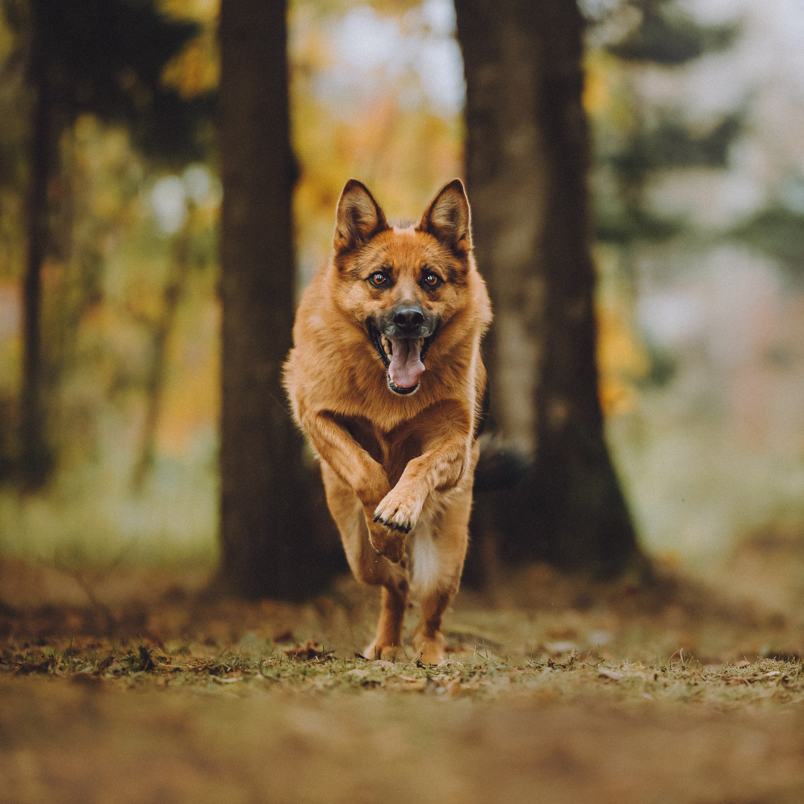 Хлоя, Герда и их семья