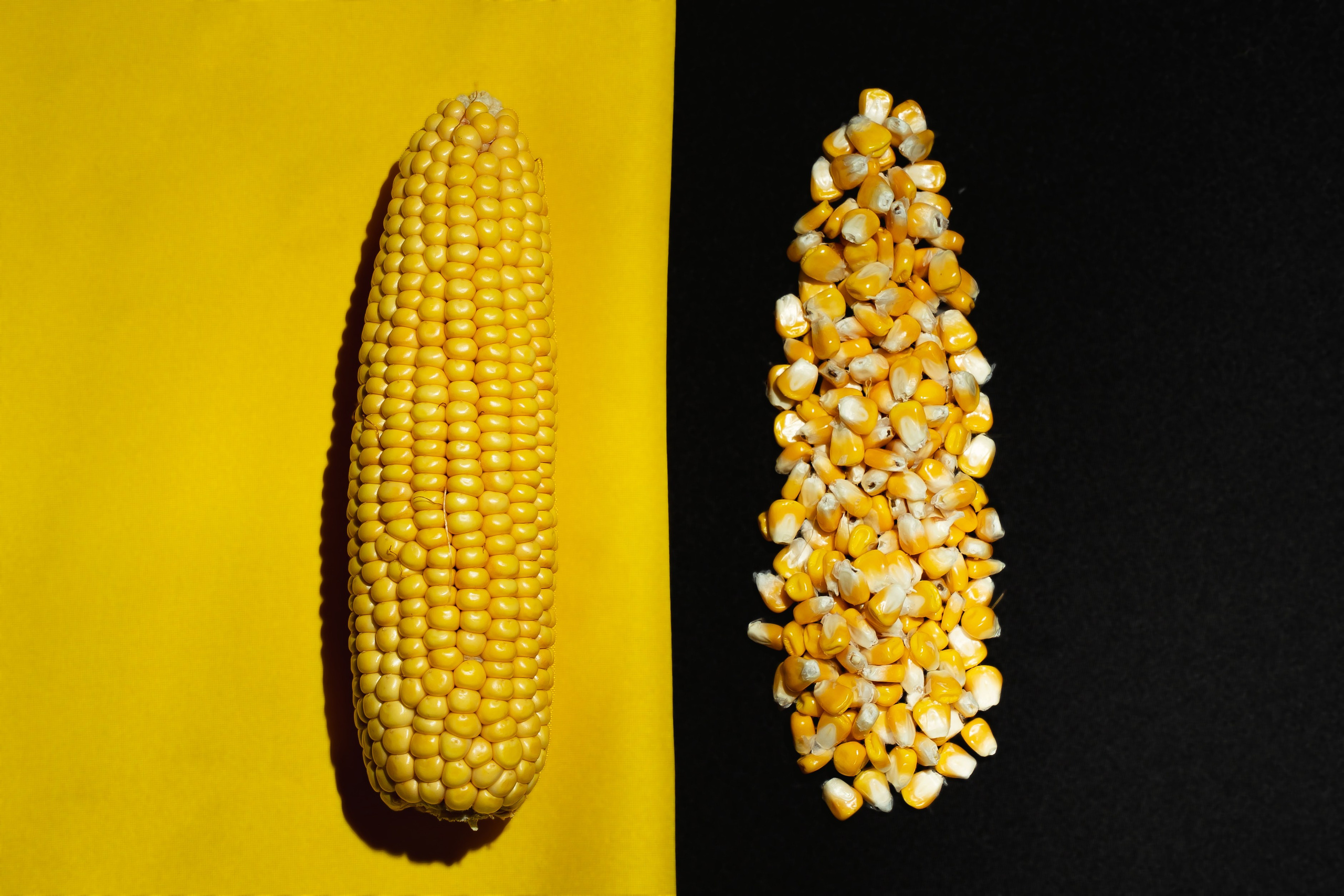 Коммерция. Портретный и событийный фотограф в Барнауле, Москве, Новосибирске