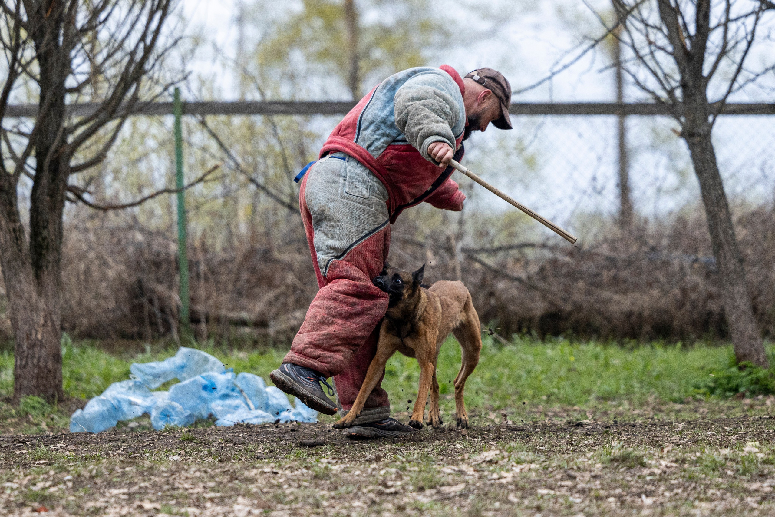 Квалификационные состязания по мондьорингу г. Вологда 11.05.24. Фотограф-анималист Анна Маринич