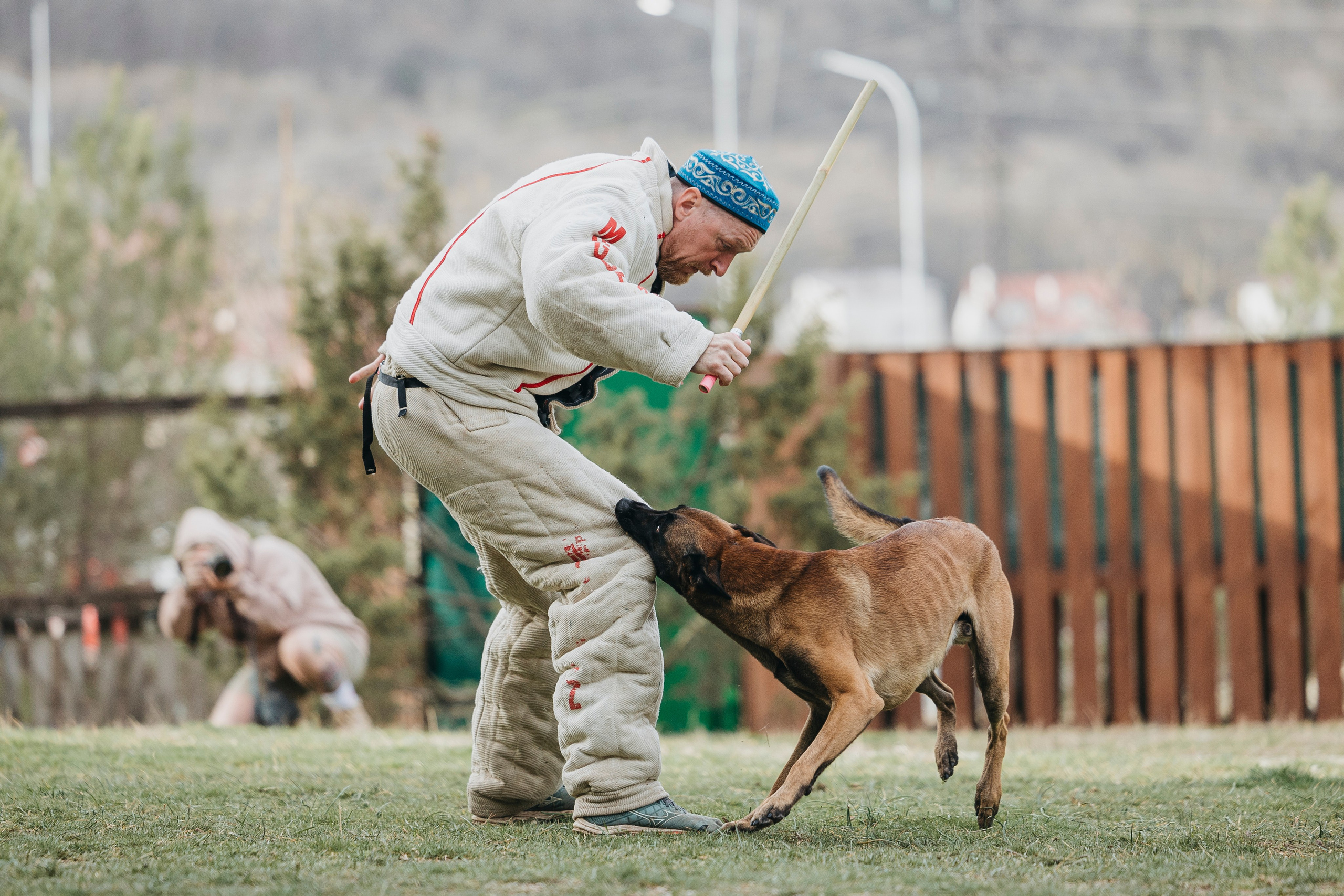 Геленджик Мондьоринг. Фотограф-анималист Анна Маринич