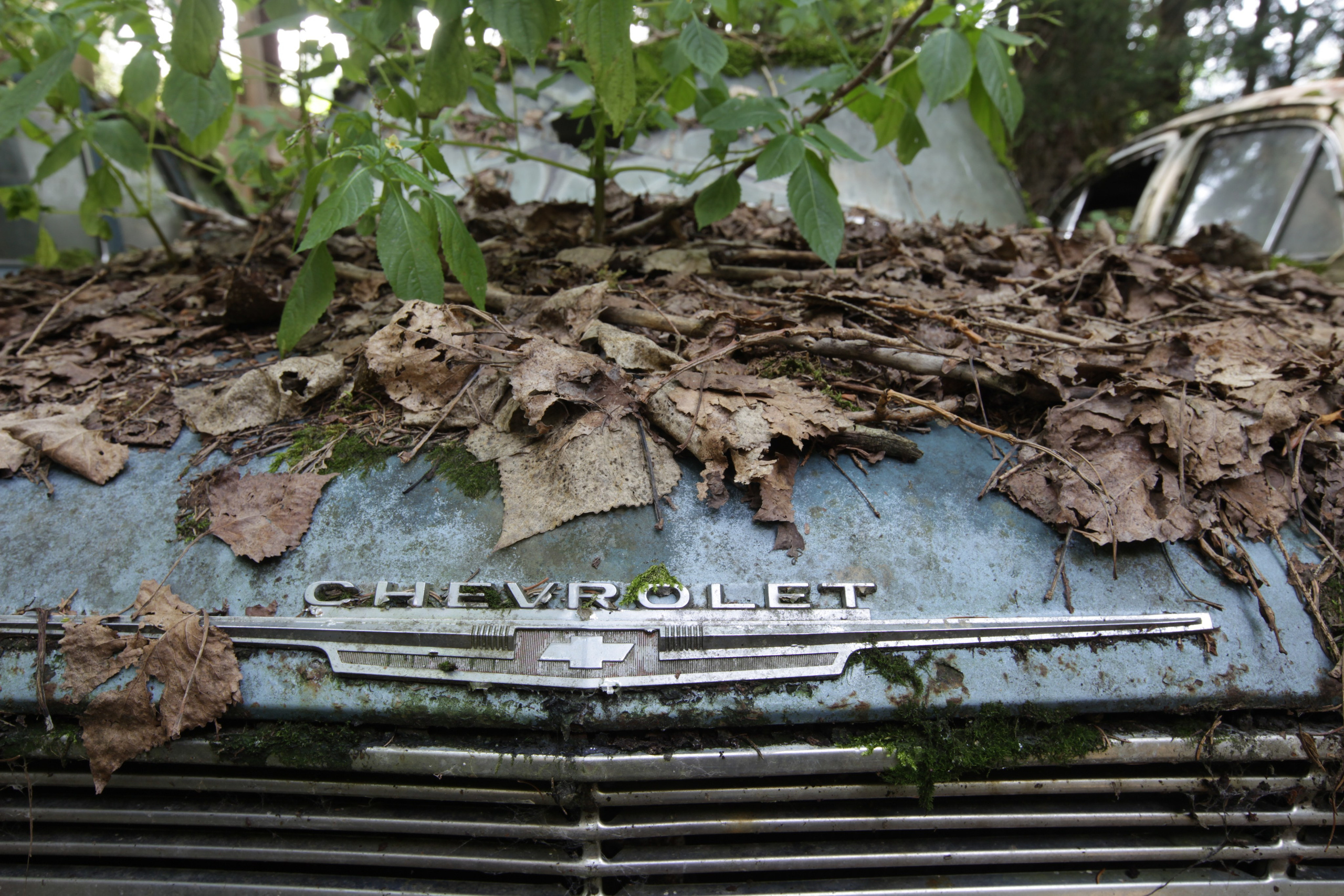 Classic cars. Классический американский автомобиль. Chevrolet