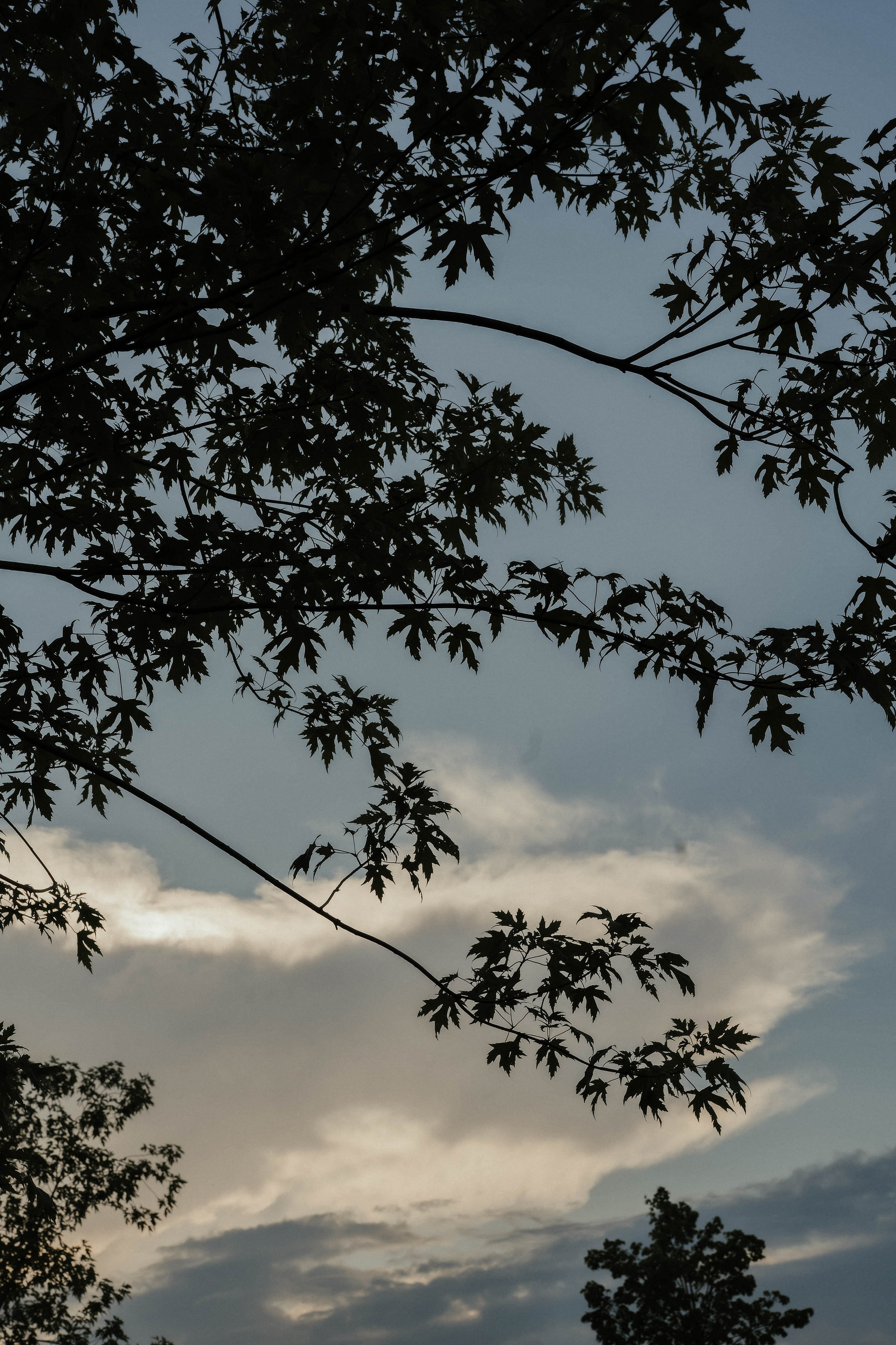 Семейные истории. ФОТОГРАФ КСЕНИЯ СОСНОВСКАЯ