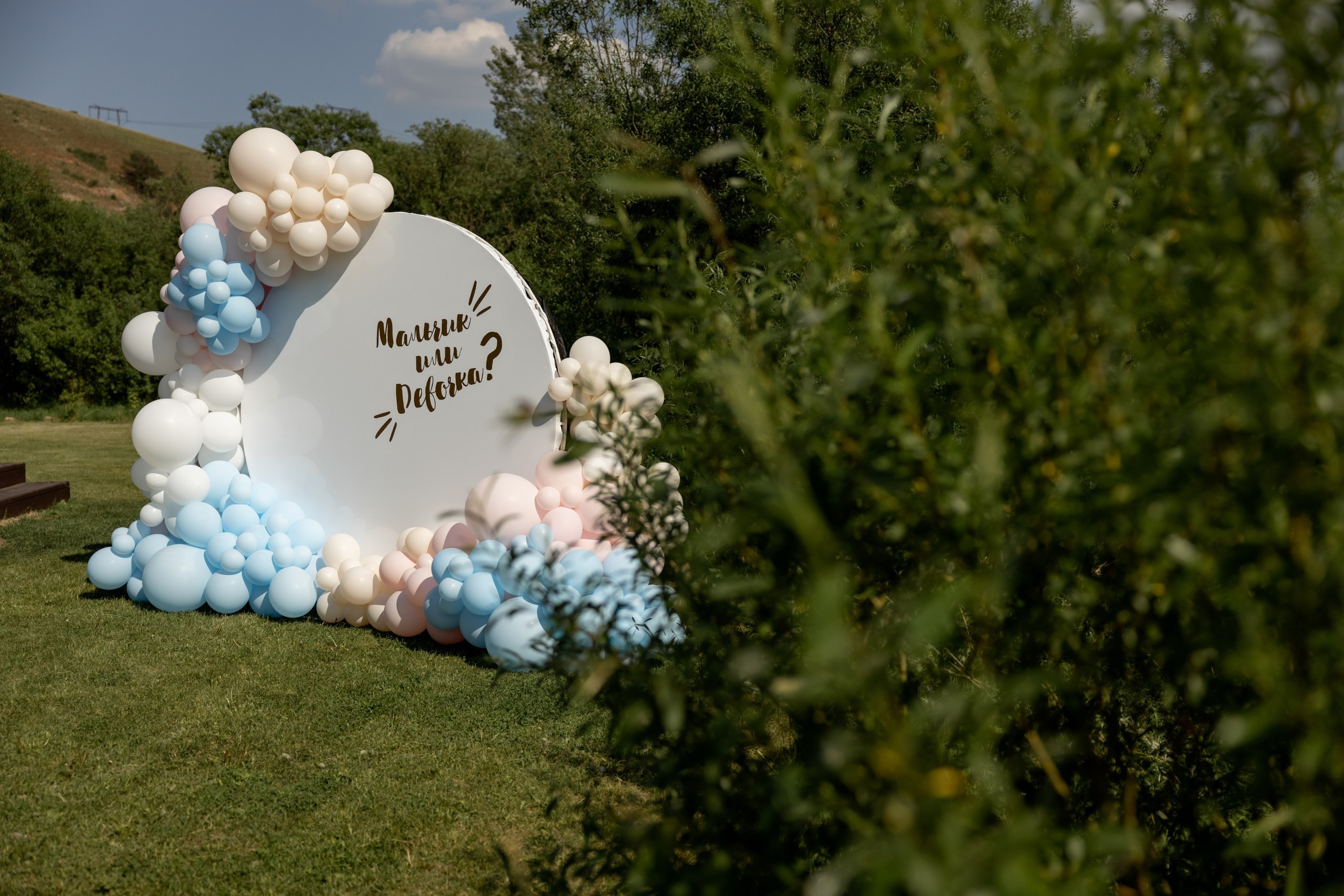 Гендерпати красноярск, гендер-пати красноярск, организация гендер пати под ключ, организация гендер пати под ключ красноярск, беременность красноярск, цветной дым красноярск, гендер шар красноярск, конкурсы на гендер пати красноярск, ведущий на гендер пати красноярск, фотозона красноярск, фотозона на гендер пати красноярск, на каком сроке делать гендер пати, на каком сроке узнать пол ребенка, как узнать пол ребенка, когда узнать пол ребенка, роддом красноярск, фотосессия беременности красноярск