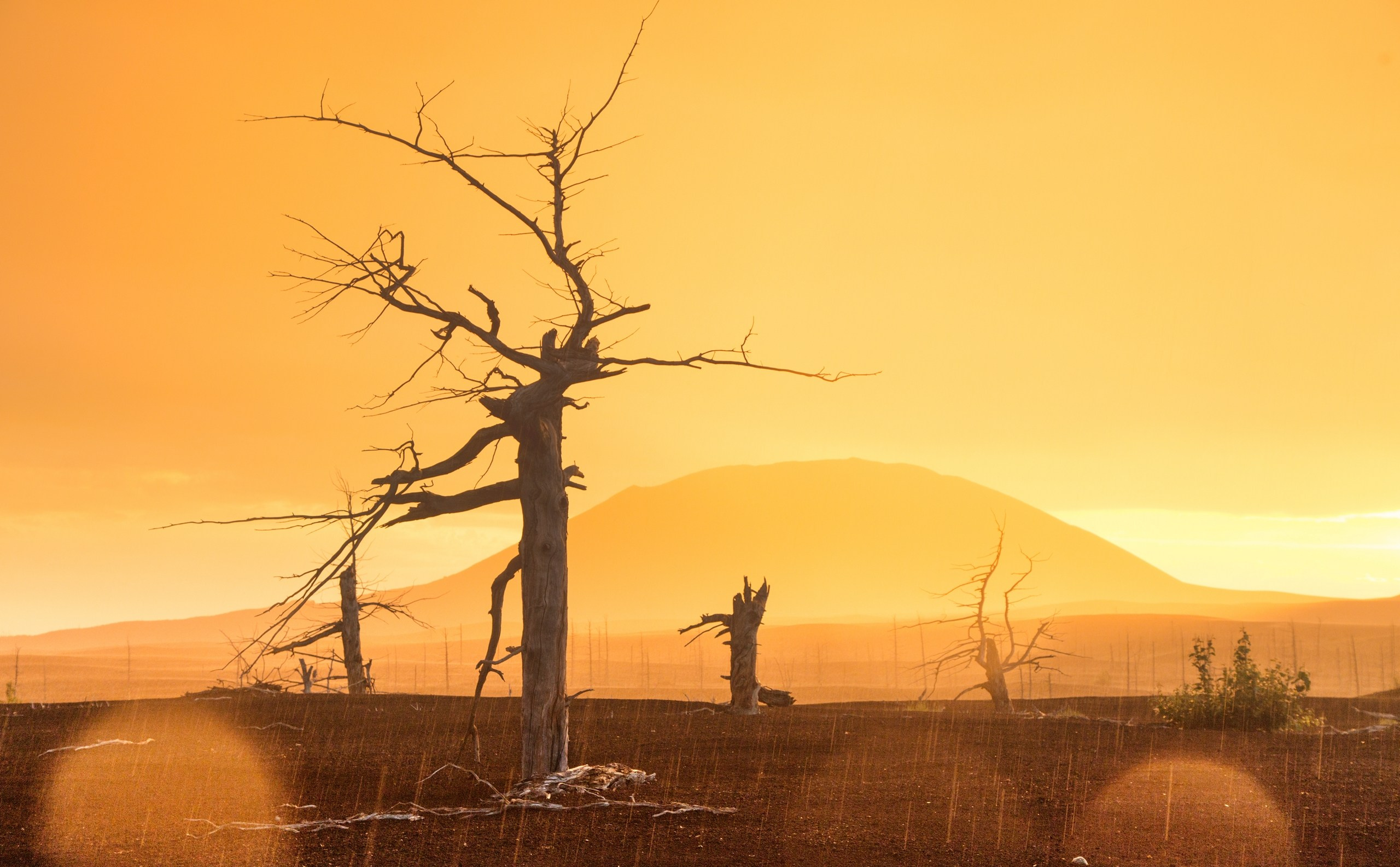 Камчатка. Фотограф Владимир Медведев