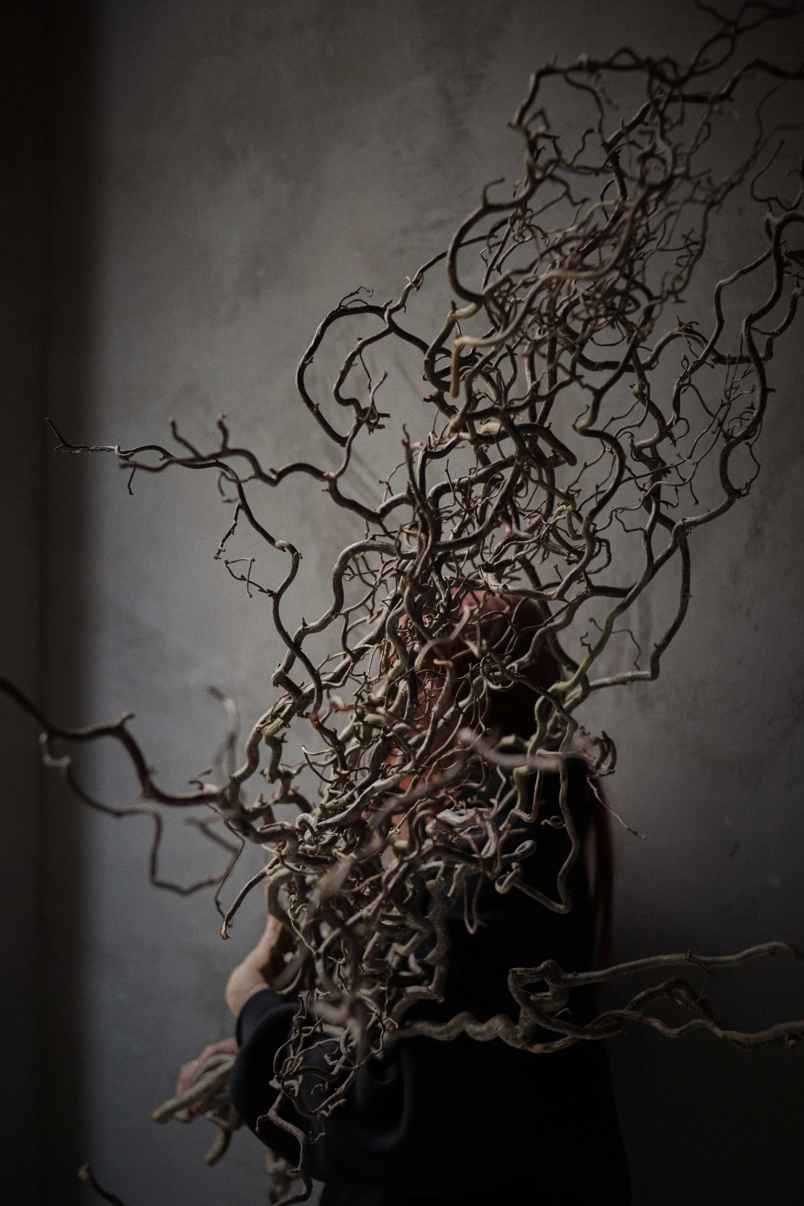 Flowers. Виктория Калугина — фотограф и видеомейкер в Москве