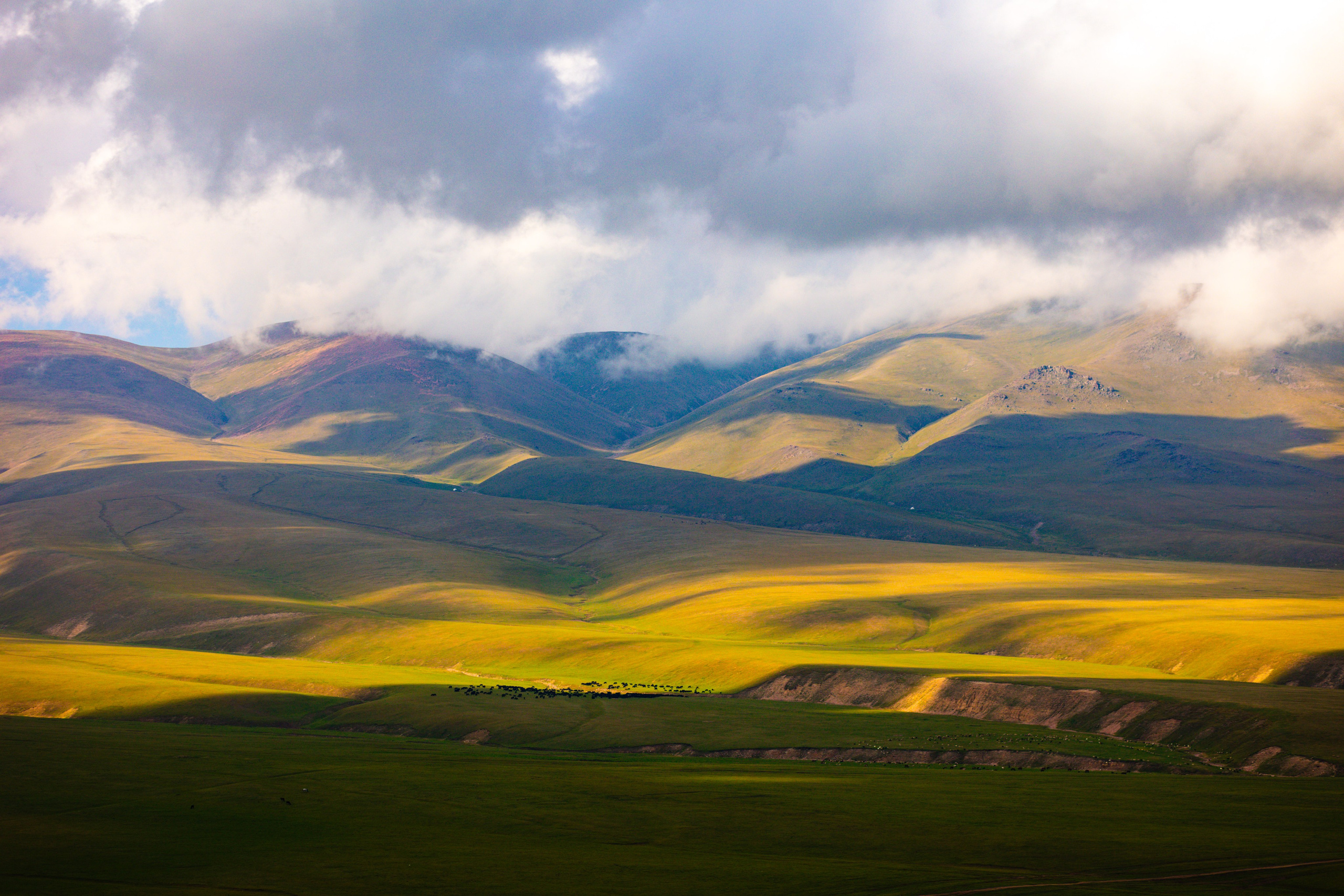 Плато Ассы. Экскурсии и туры по Алматы
