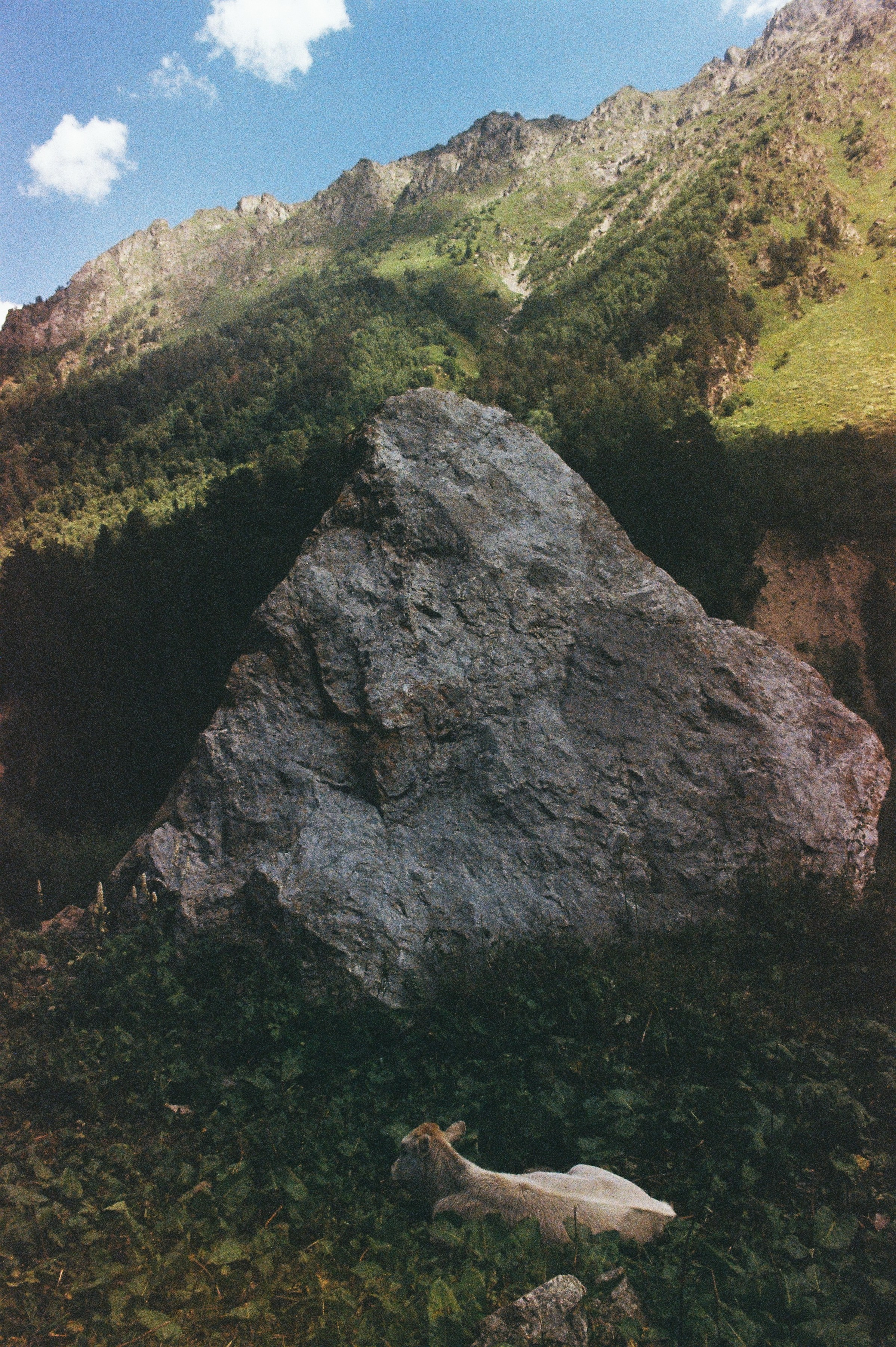 На пленку. Фотограф Настя | Экспедиции и лайфстайл