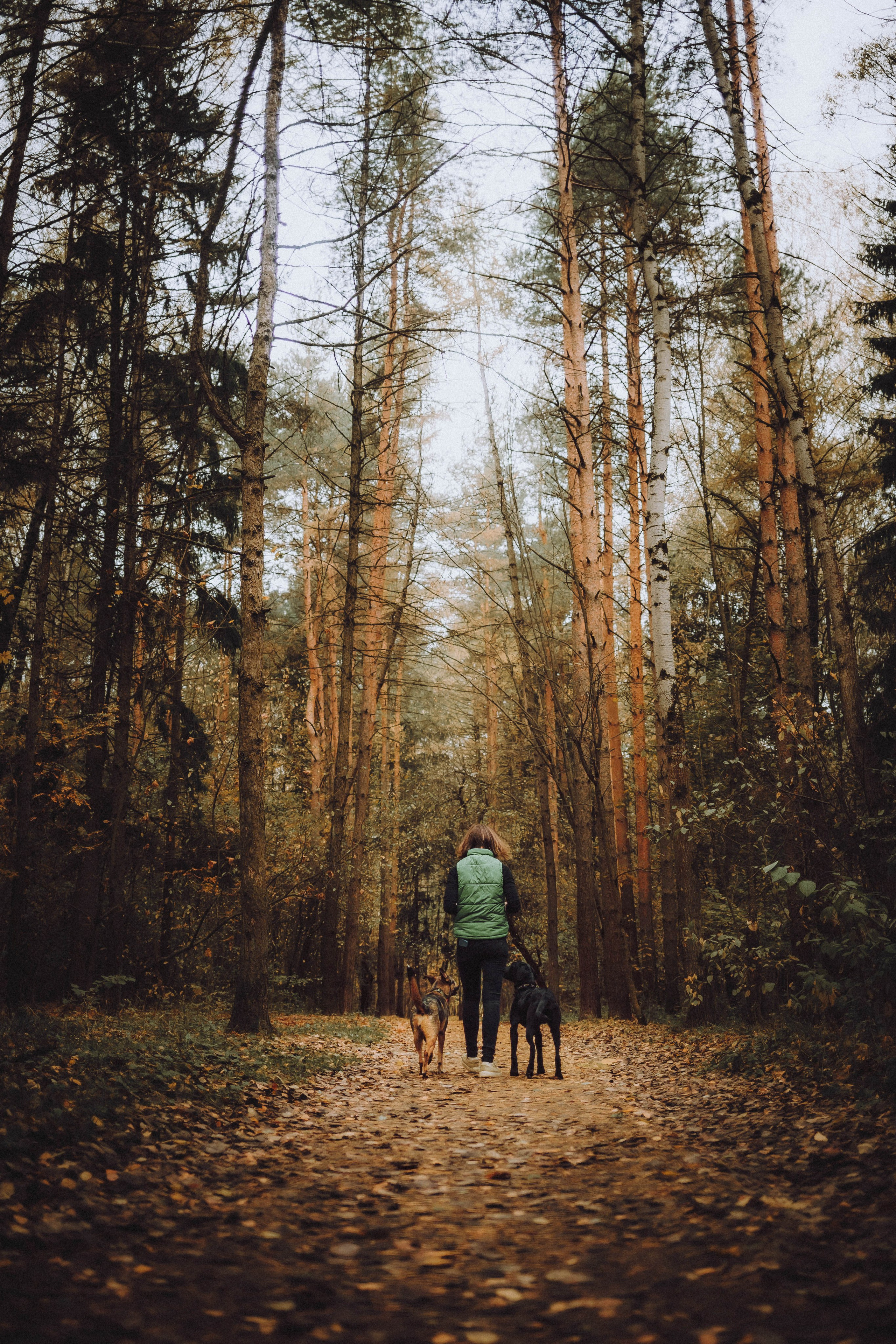 Аня, Нео и Луна
