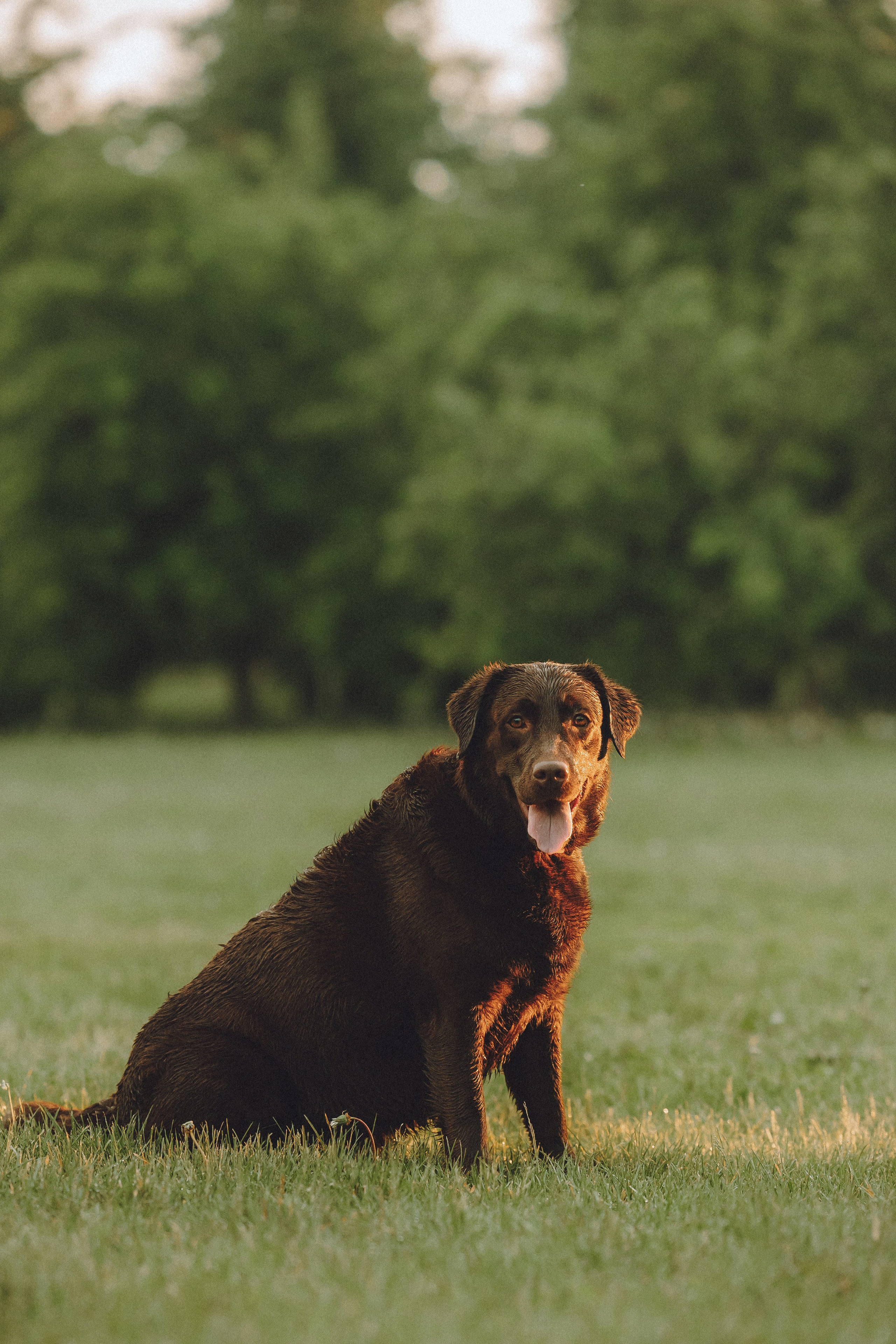 Катя, Ваня и Джеси