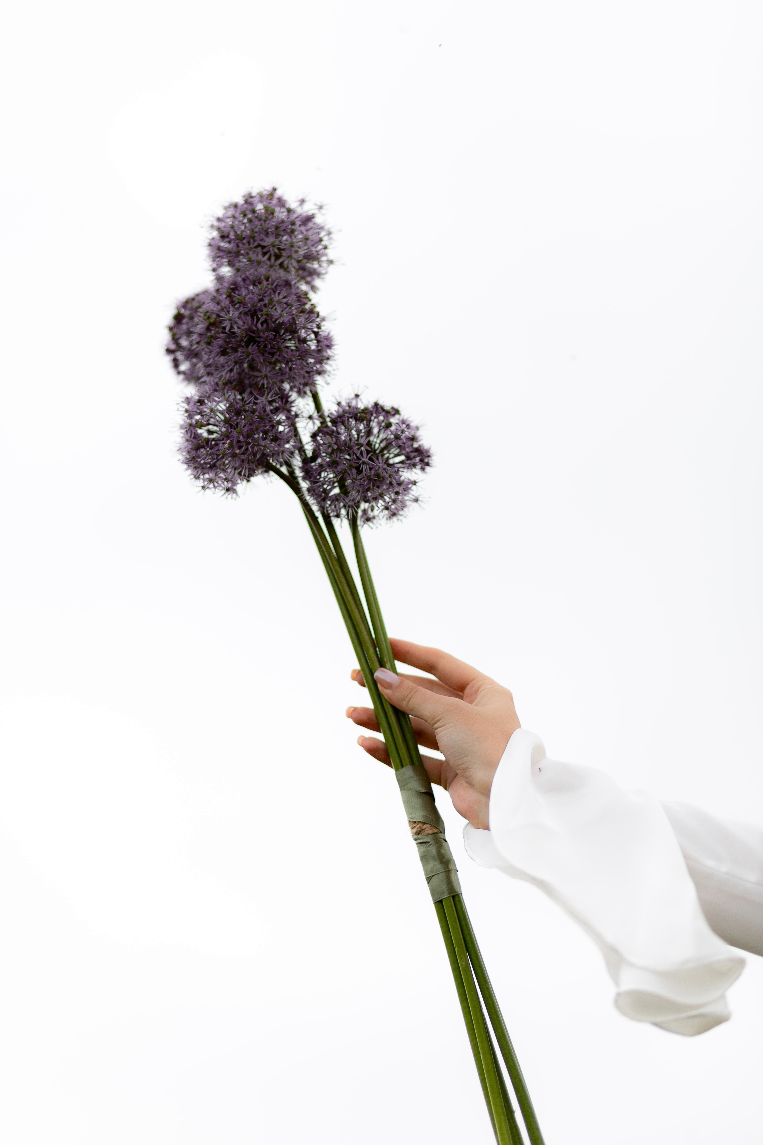 Утро невесты в поле