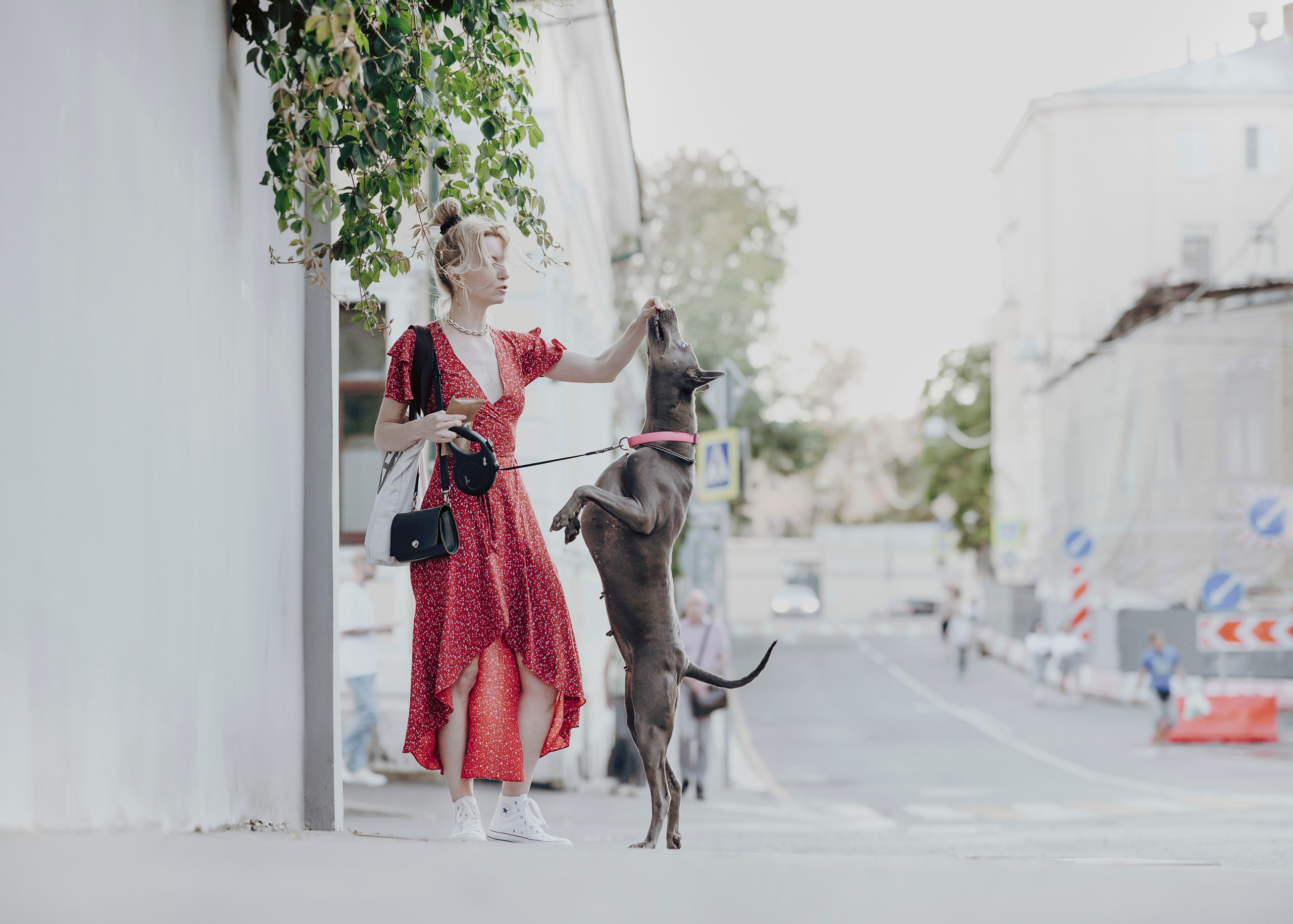 Шарма. Фотограф- анималист Александра Матвеева