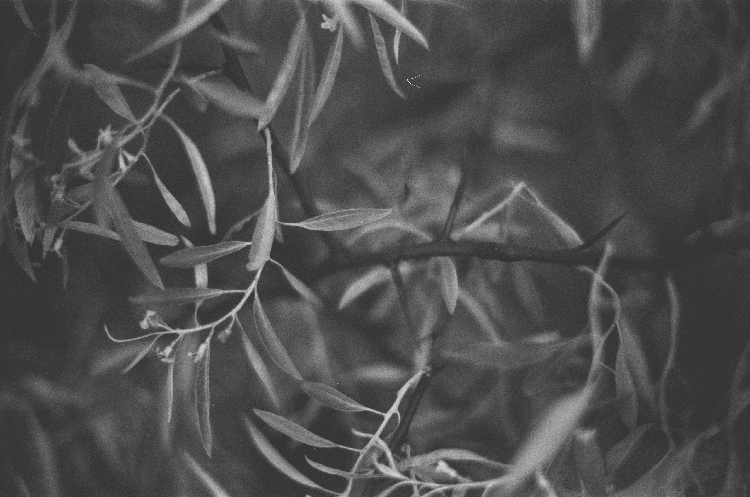 Move me // ukraine, crimea III. EVER EXPOSED