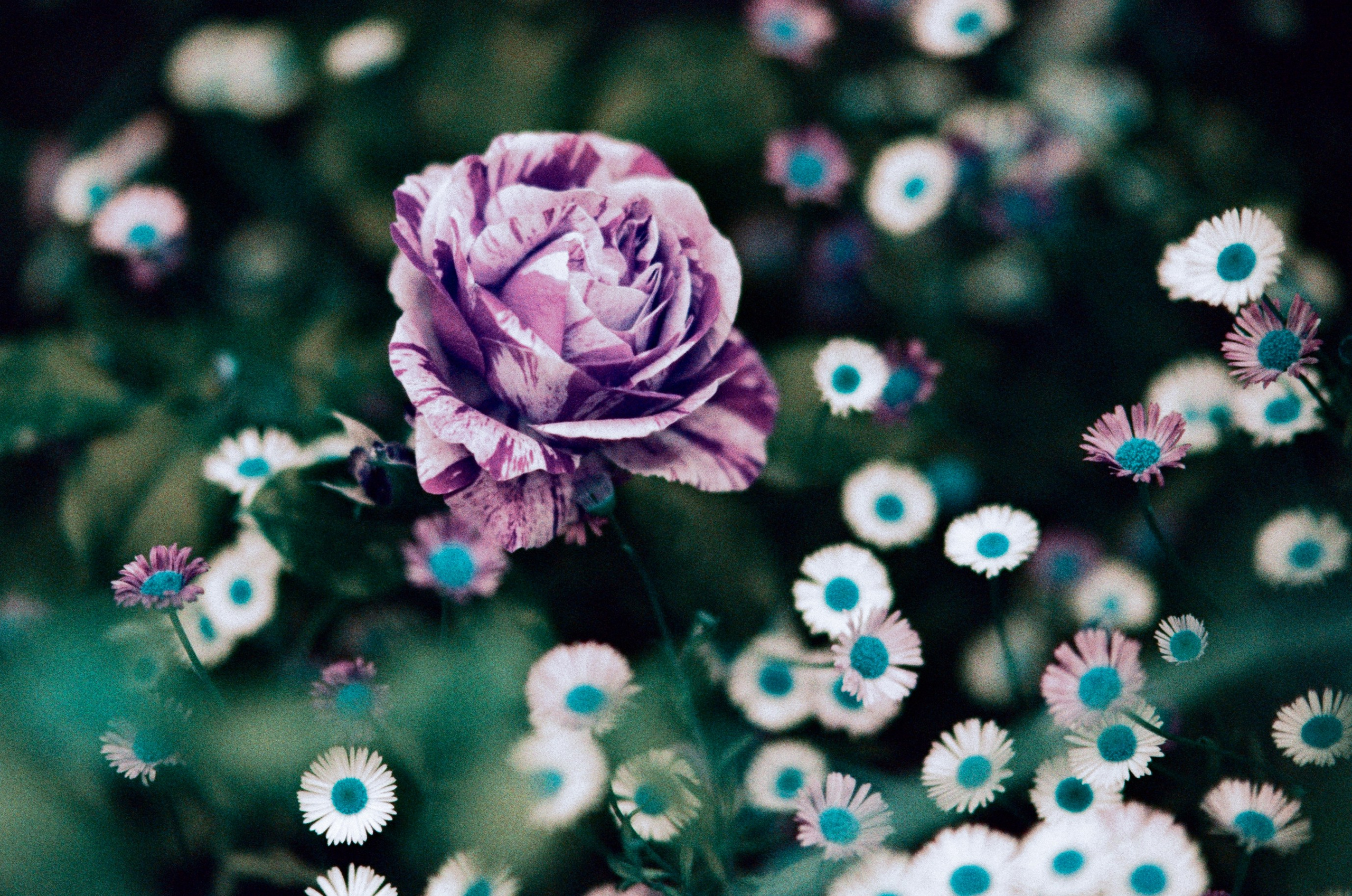 Pain shopping // ukraine, crimea VII. EVER EXPOSED