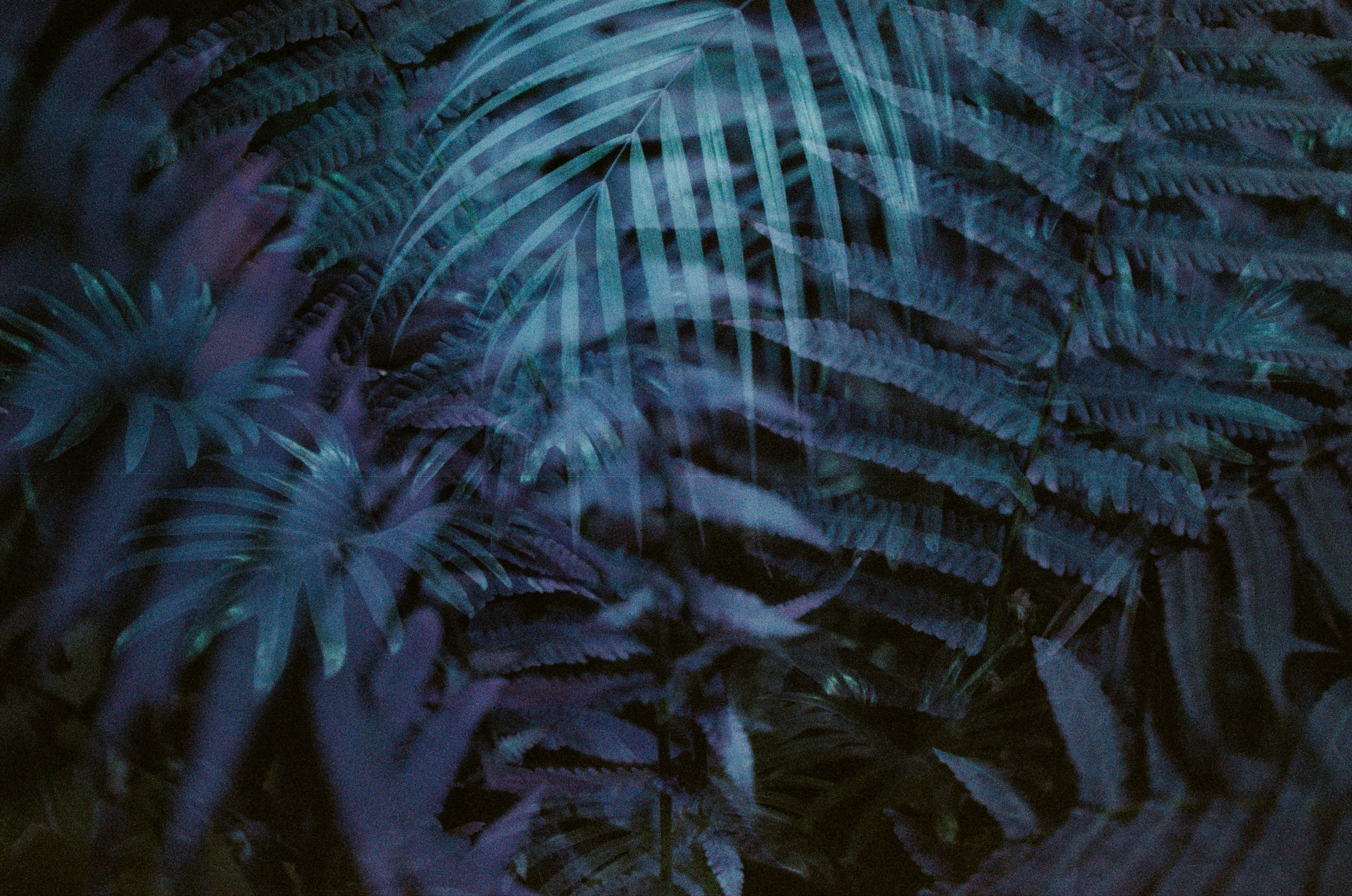 If i get high. EVER EXPOSED