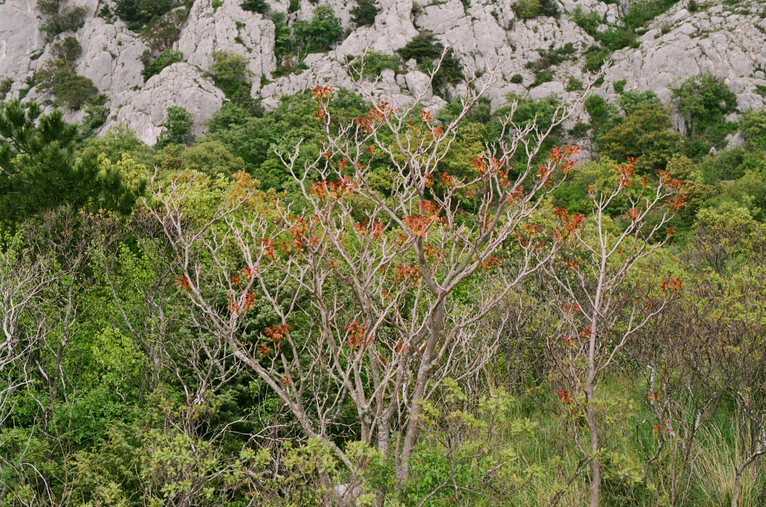 Follow you // ukraine, crimea III. EVER EXPOSED