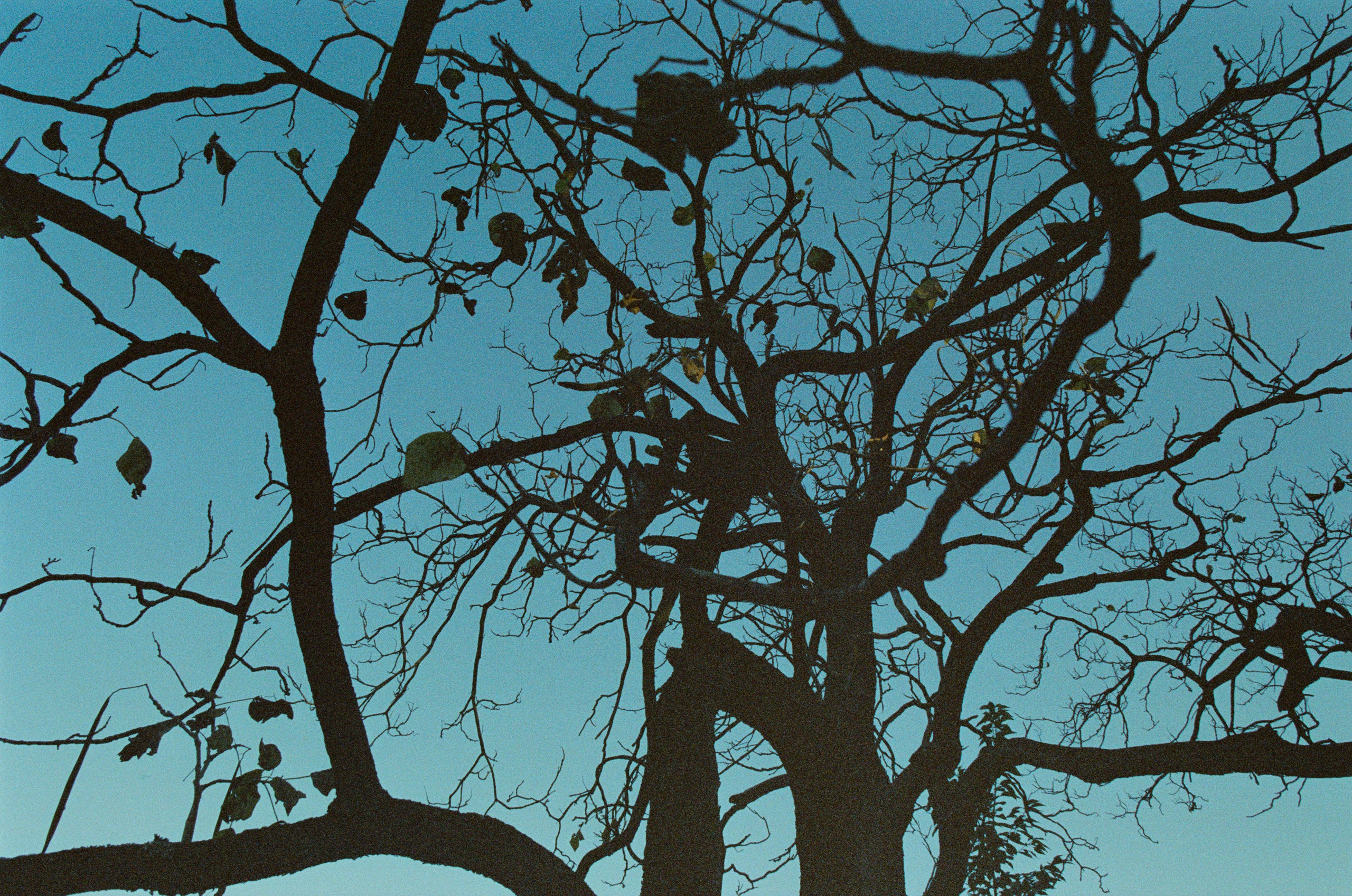 Out of noise // japan, tokyo IV. EVER EXPOSED