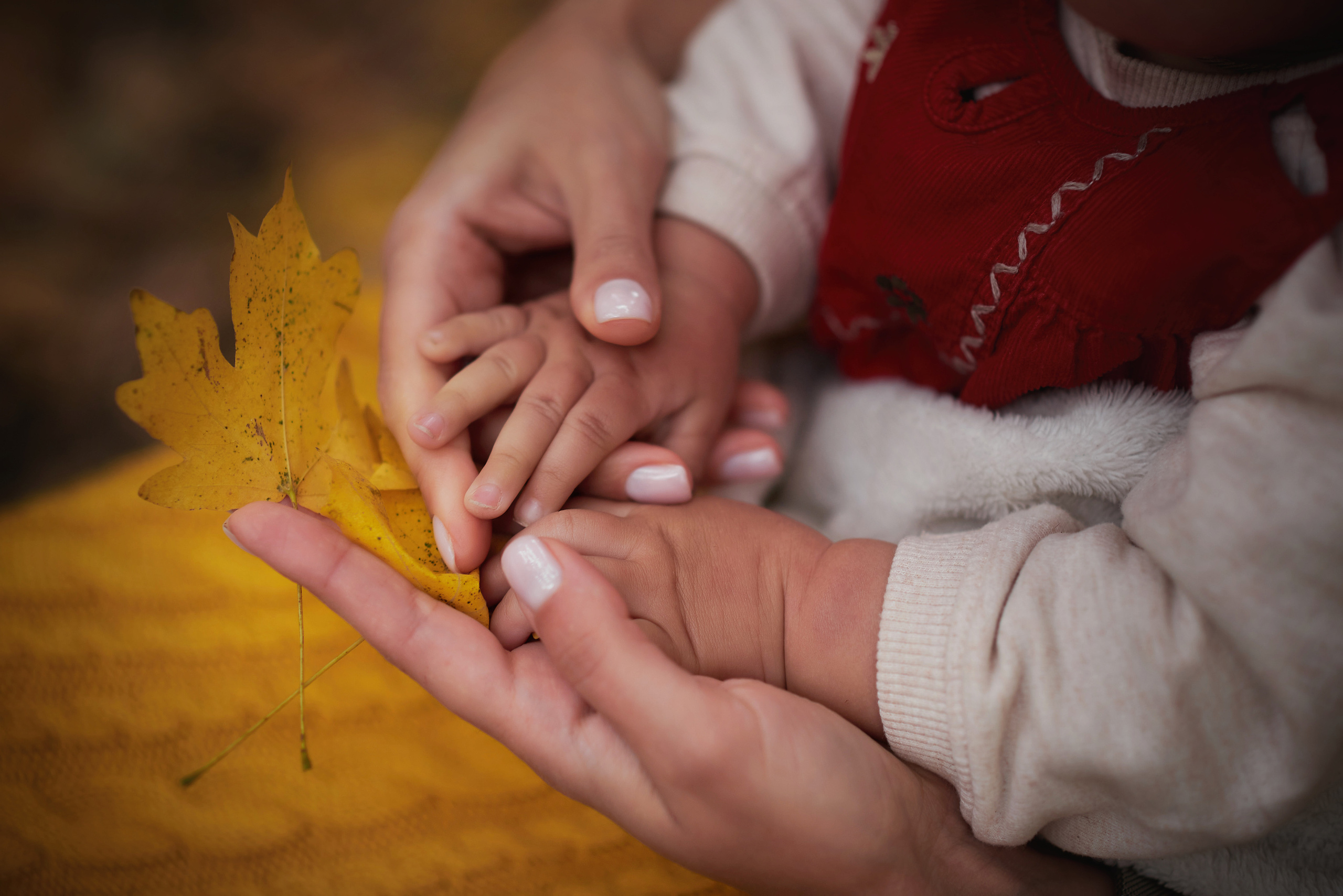 Семейный фотограф в Ростове-на-Дону Татьяна Литвинова