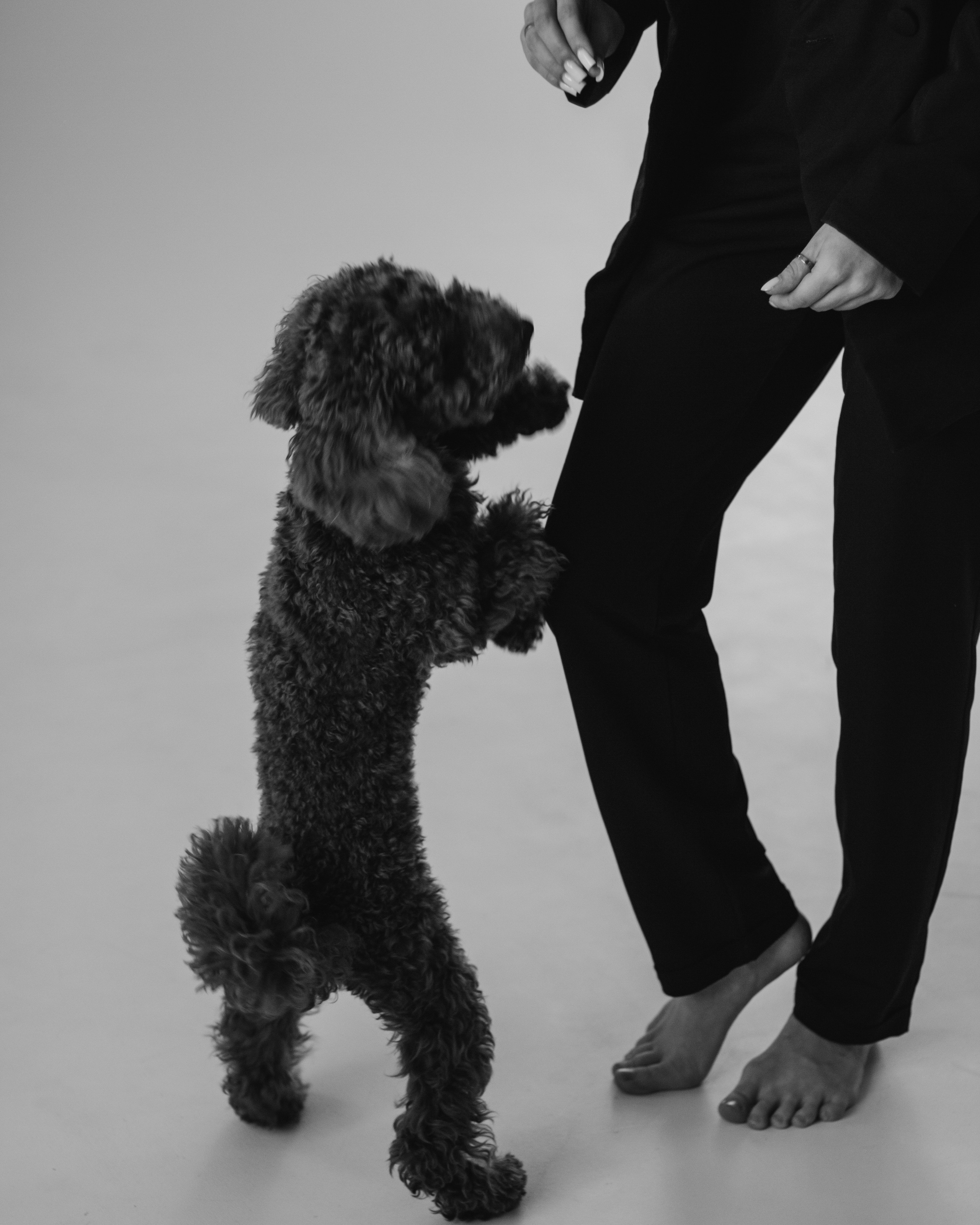 Пушистая история Гречки. Семейный фотограф в Нижнем Новгороде