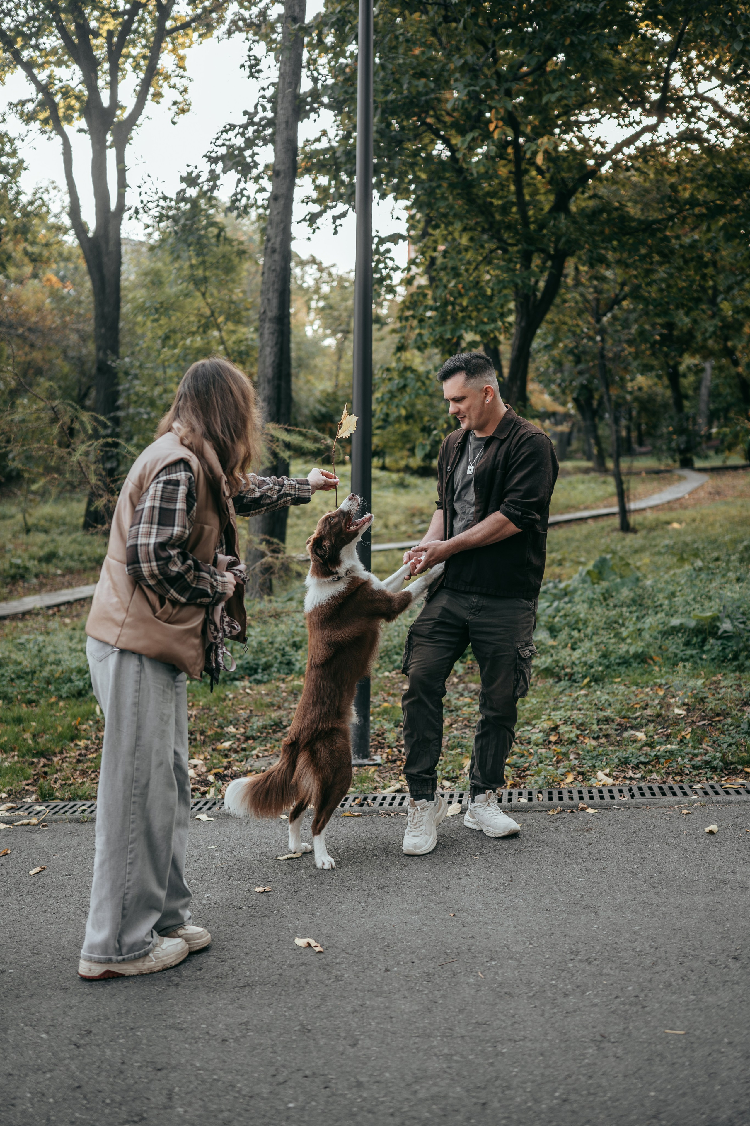 Прогулка в Покровском парке: Олег, Марго и Даймон. Фотограф-анималист Анастасия Фадеева
