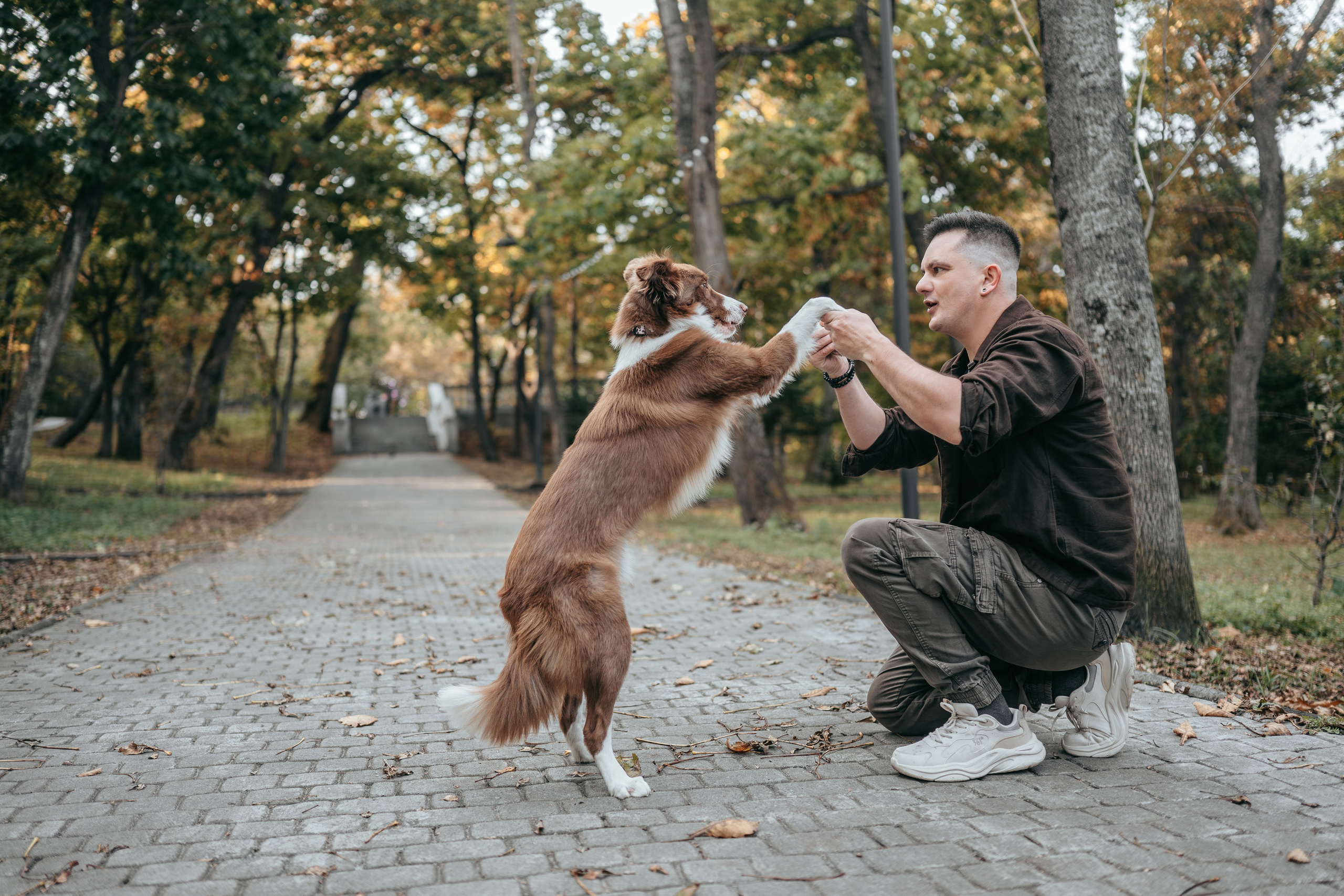 Прогулка в Покровском парке: Олег, Марго и Даймон. Фотограф-анималист Анастасия Фадеева