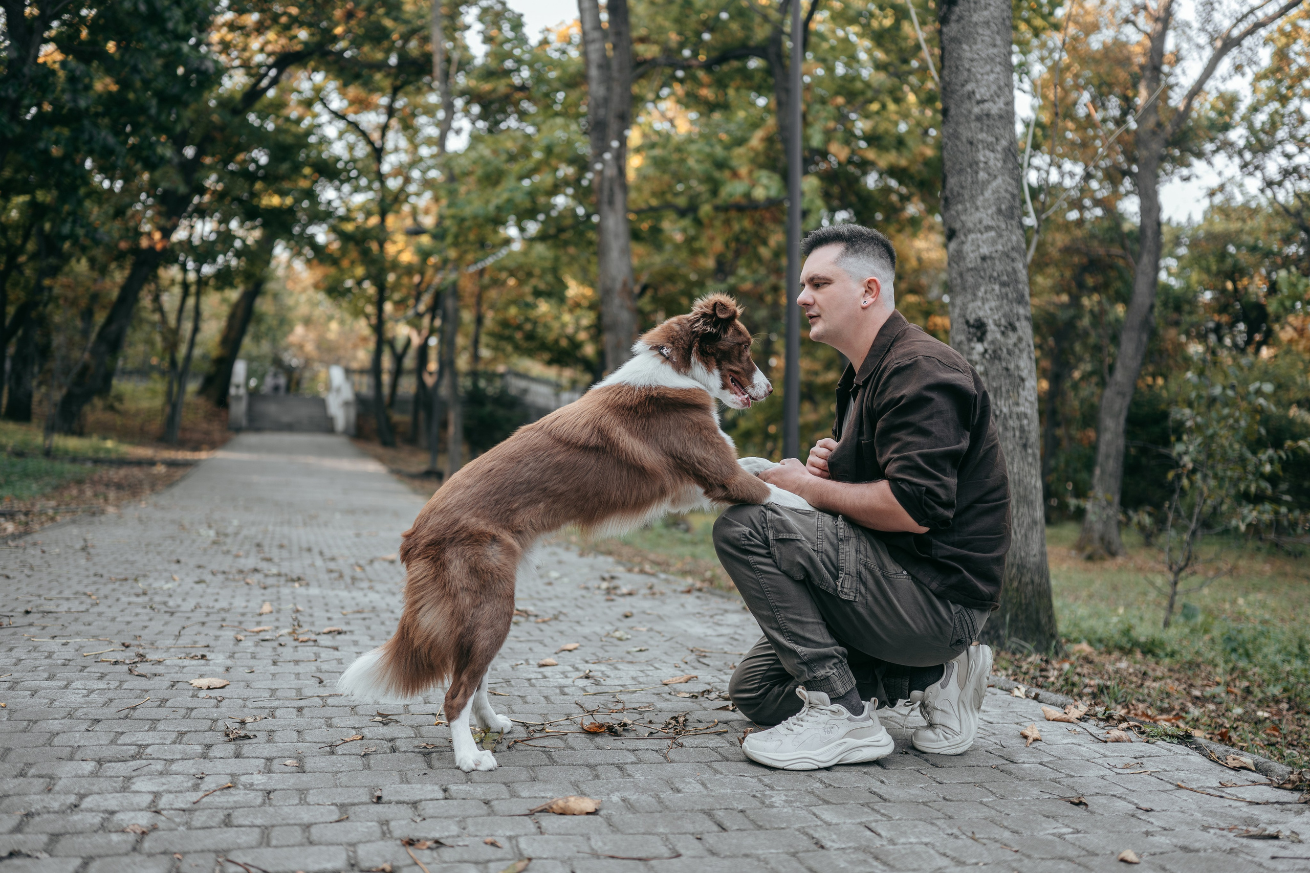 Прогулка в Покровском парке: Олег, Марго и Даймон. Фотограф-анималист Анастасия Фадеева