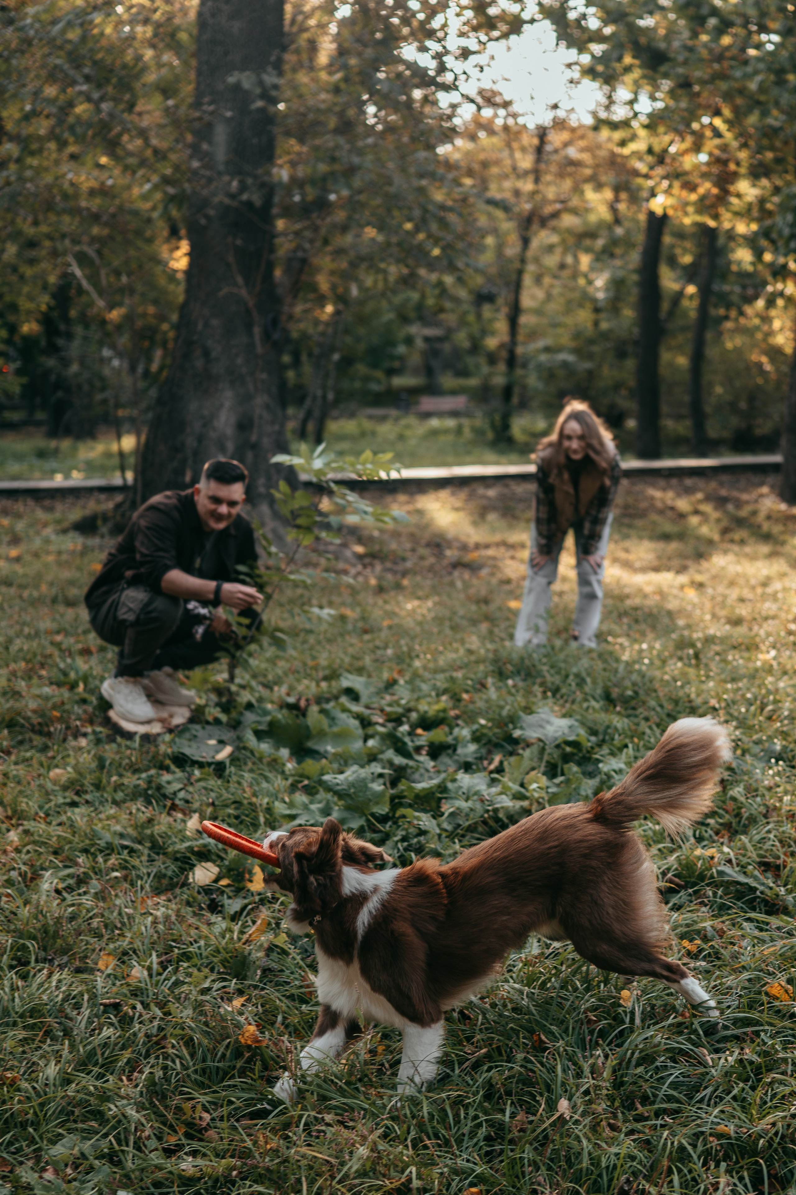 Прогулка в Покровском парке: Олег, Марго и Даймон. Фотограф-анималист Анастасия Фадеева