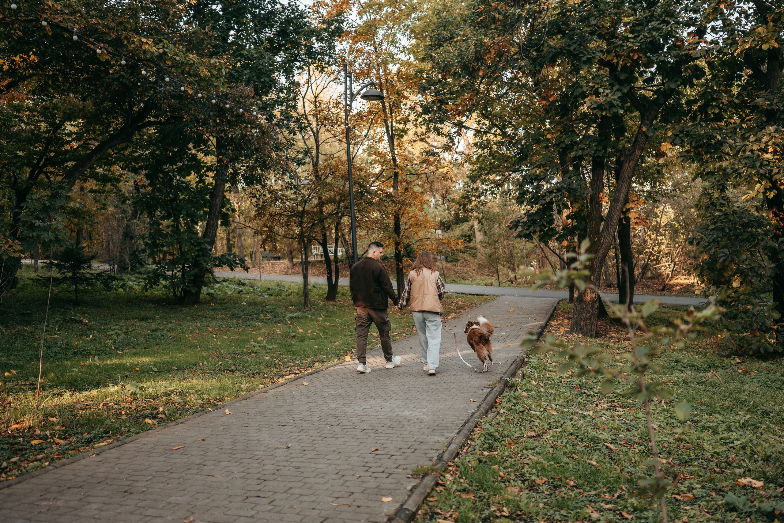 Прогулка в Покровском парке: Олег, Марго и Даймон. Фотограф-анималист Анастасия Фадеева