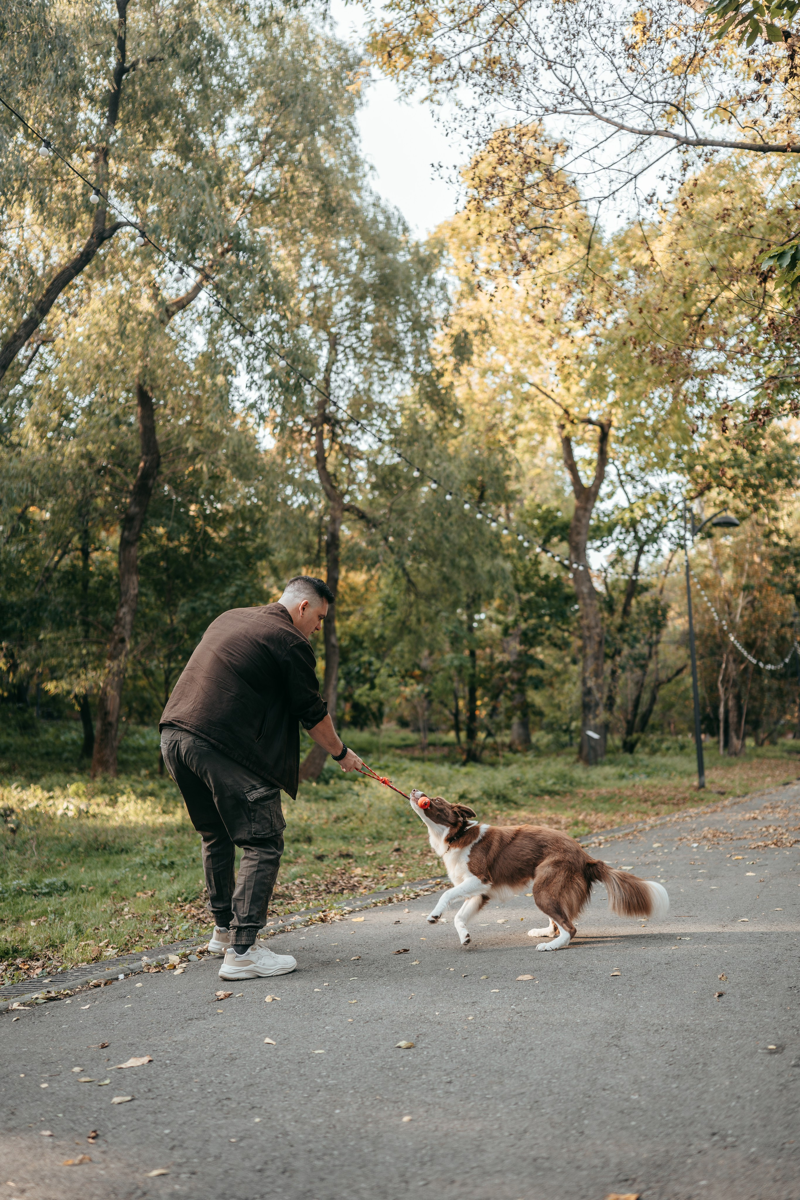 Прогулка в Покровском парке: Олег, Марго и Даймон. Фотограф-анималист Анастасия Фадеева