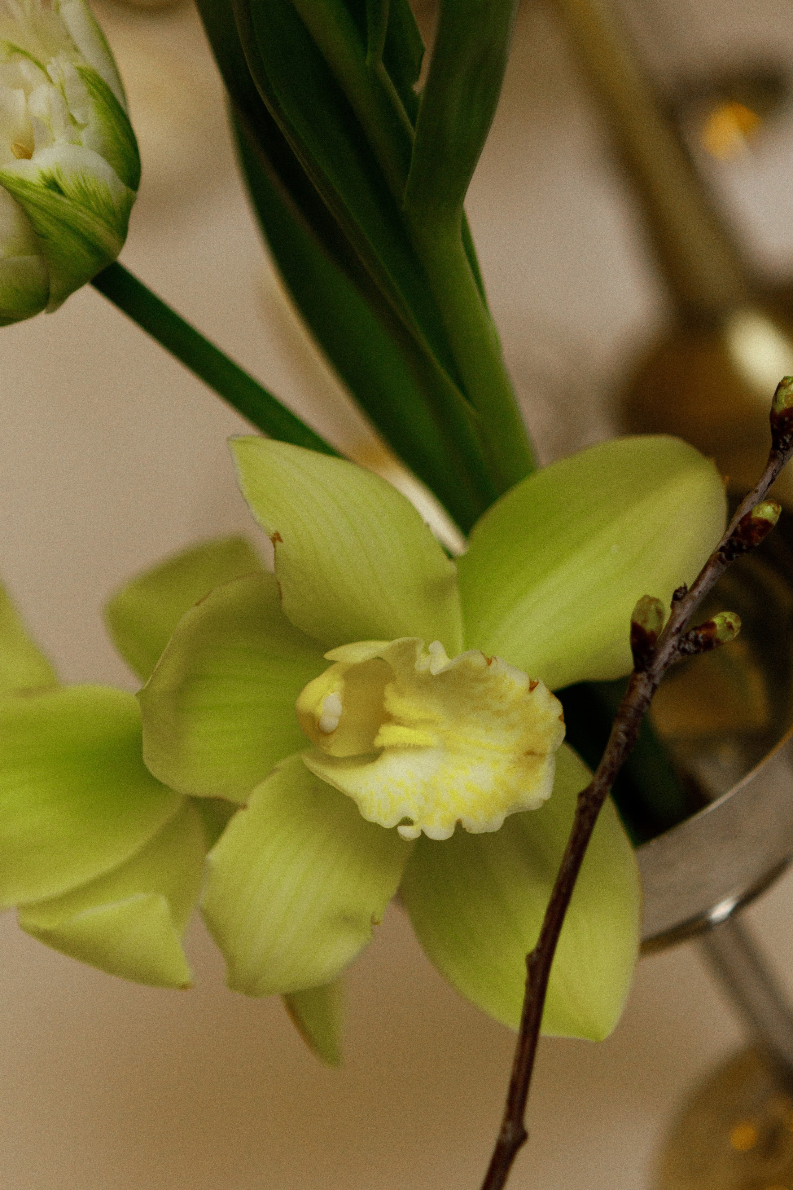 Влад & Алиса. Свадебный фотограф Ростов на Дону / Таганрог — Усачева Анастасия