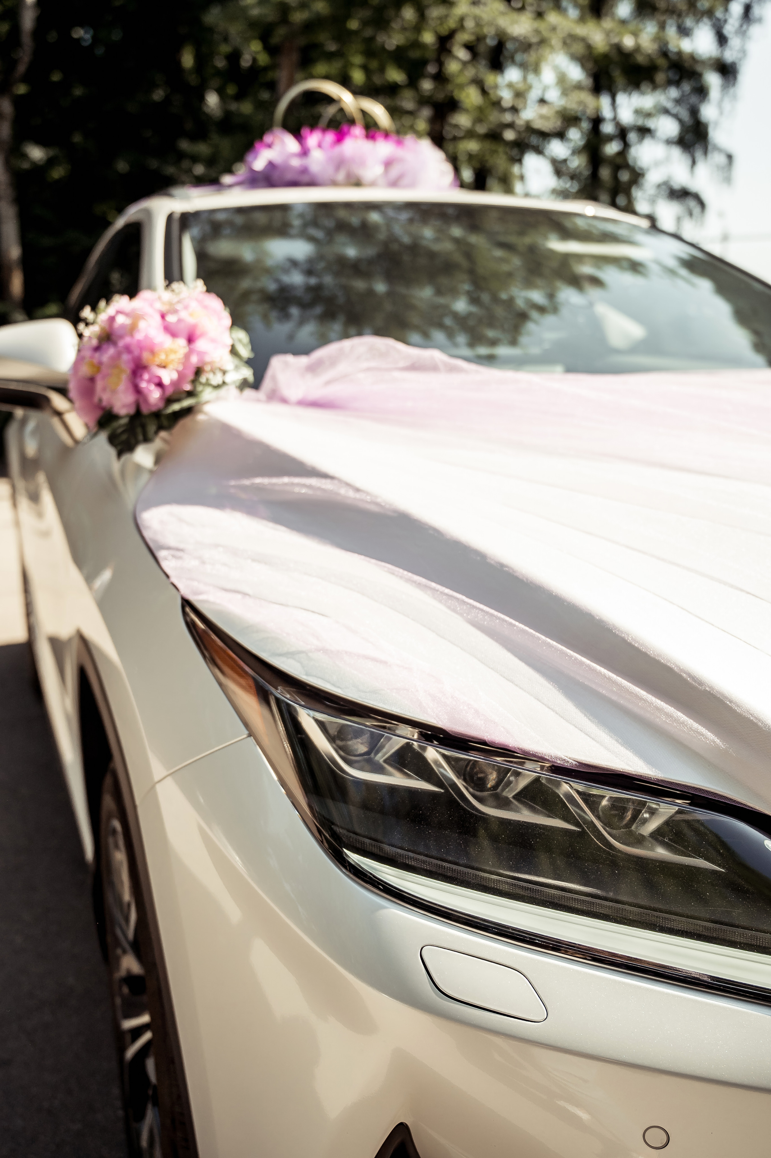 Свадьба Даши и Паши. Свадебный и семейный фотограф в Щёкино, Тула I Мария Житная