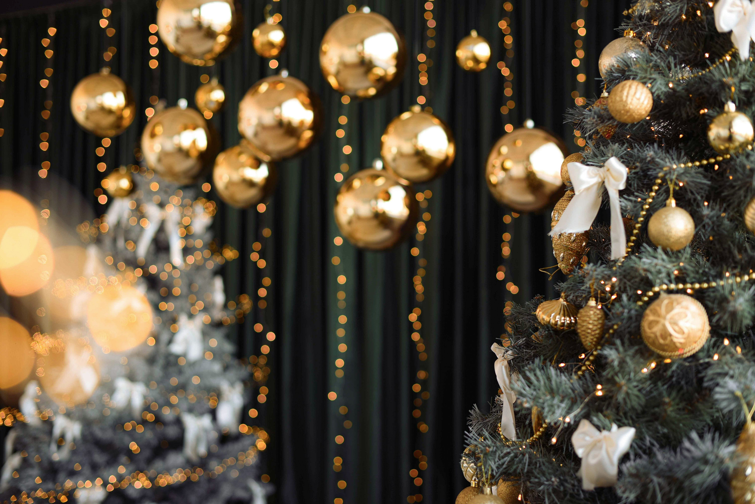 Зал LIGHT * NY 2026. Фотостудия Элис