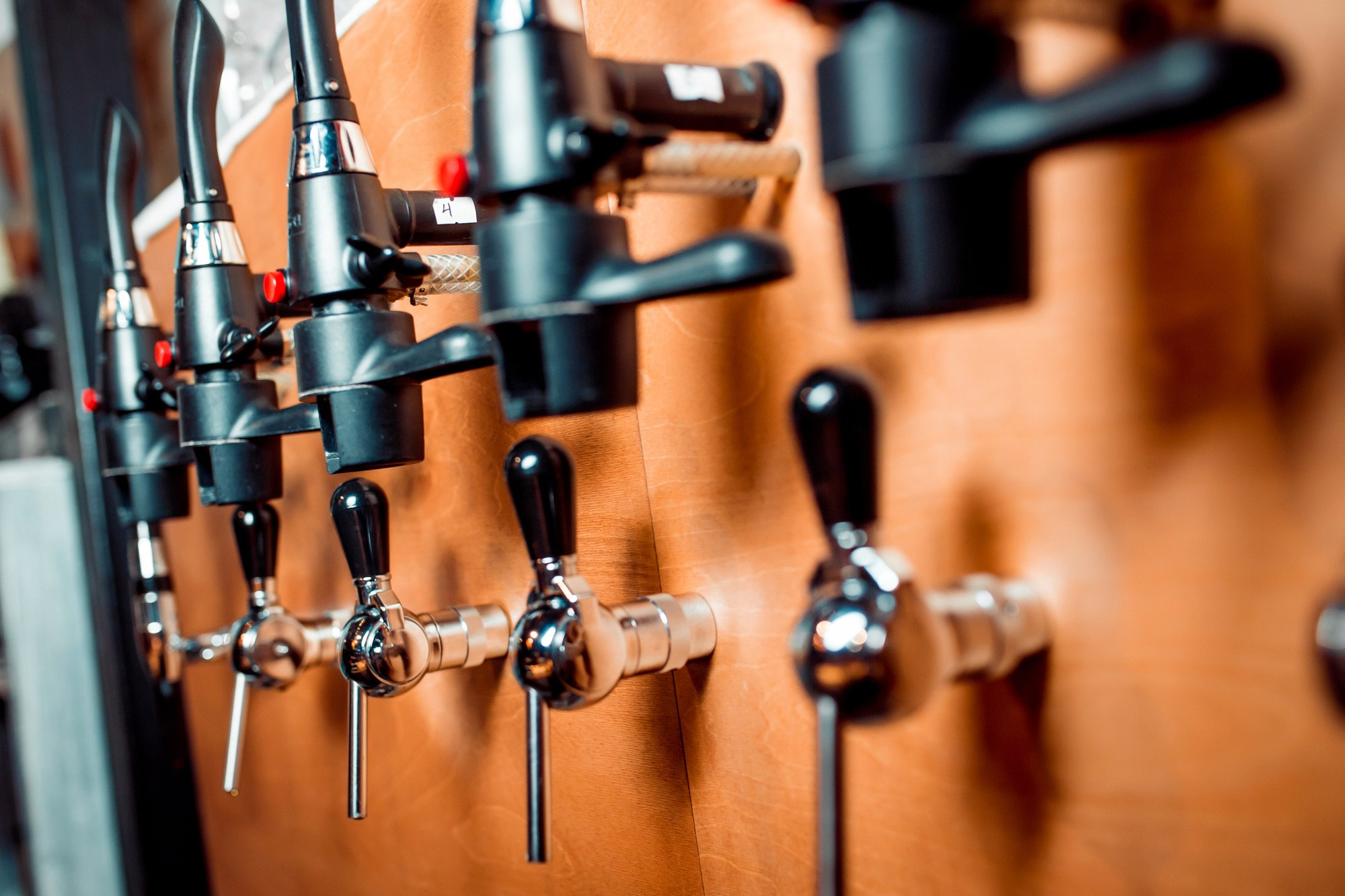 South spot. Свадебный, репортажный, студийный фотограф в Новороссийске