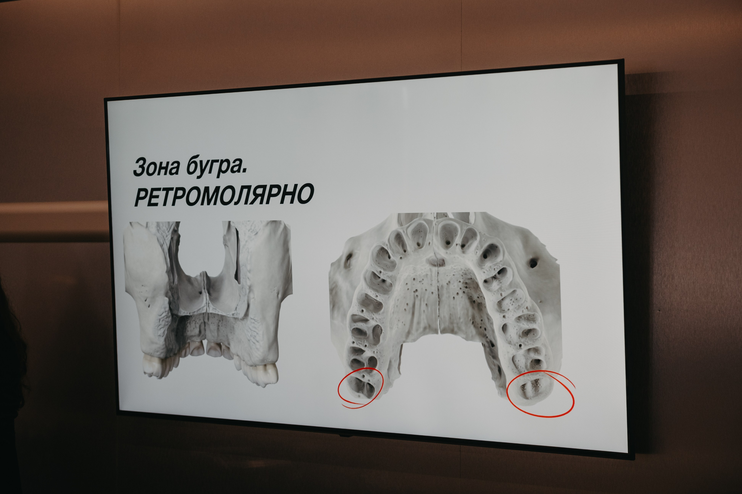 Обучение стоматологов