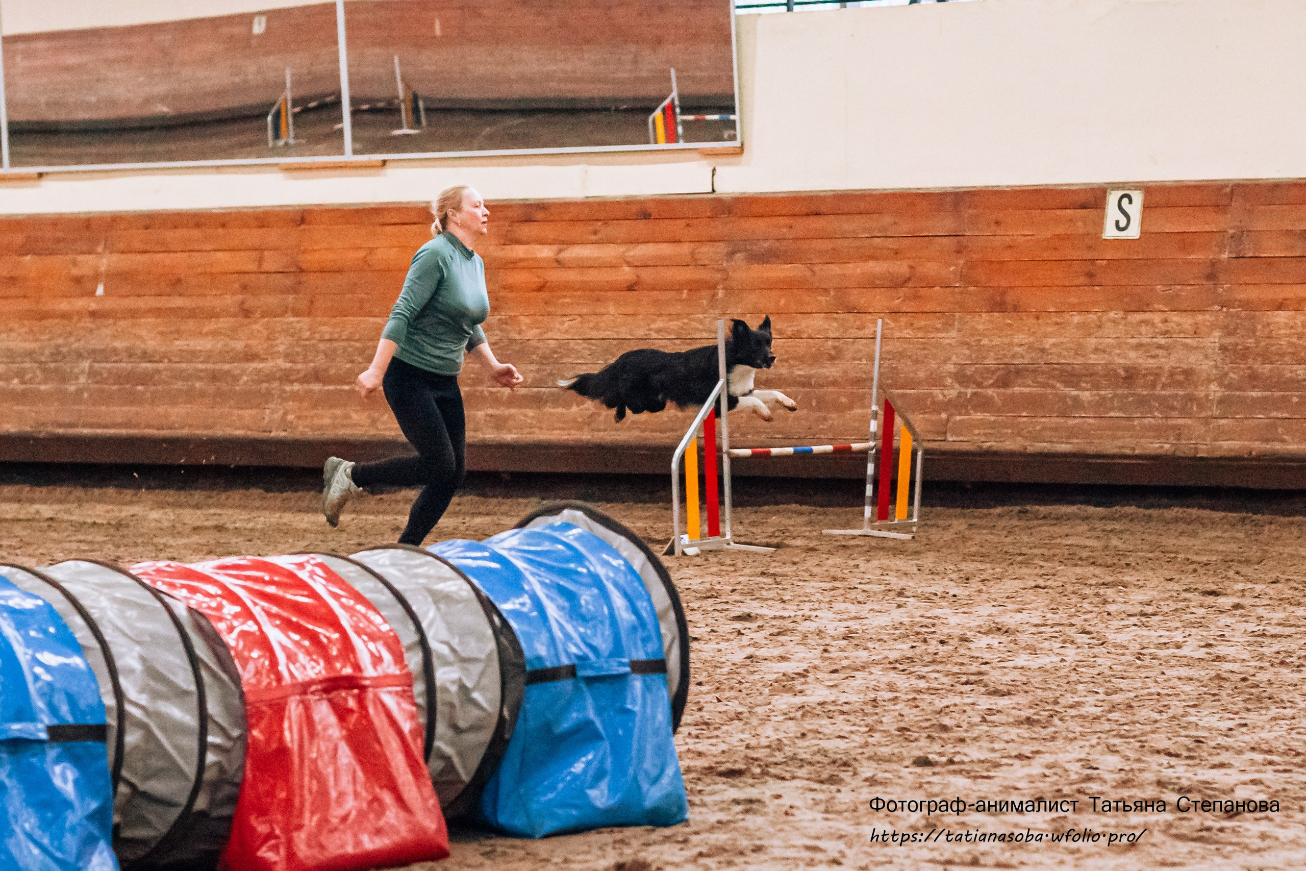 Соревнования по Аджилити 25.02.2024. Фотограф-анималист Татьяна Степанова