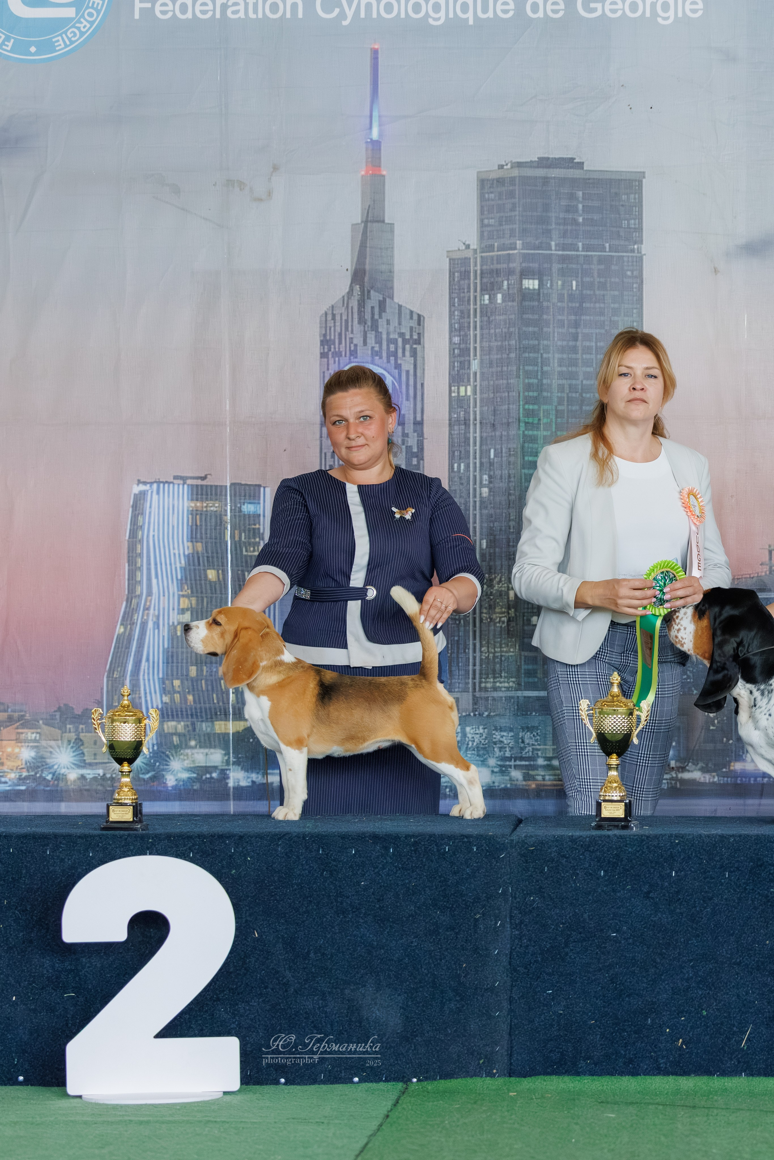 Батуми 3хCACIB 27-29.06.2025. Фотограф-анималист Юлия Германика