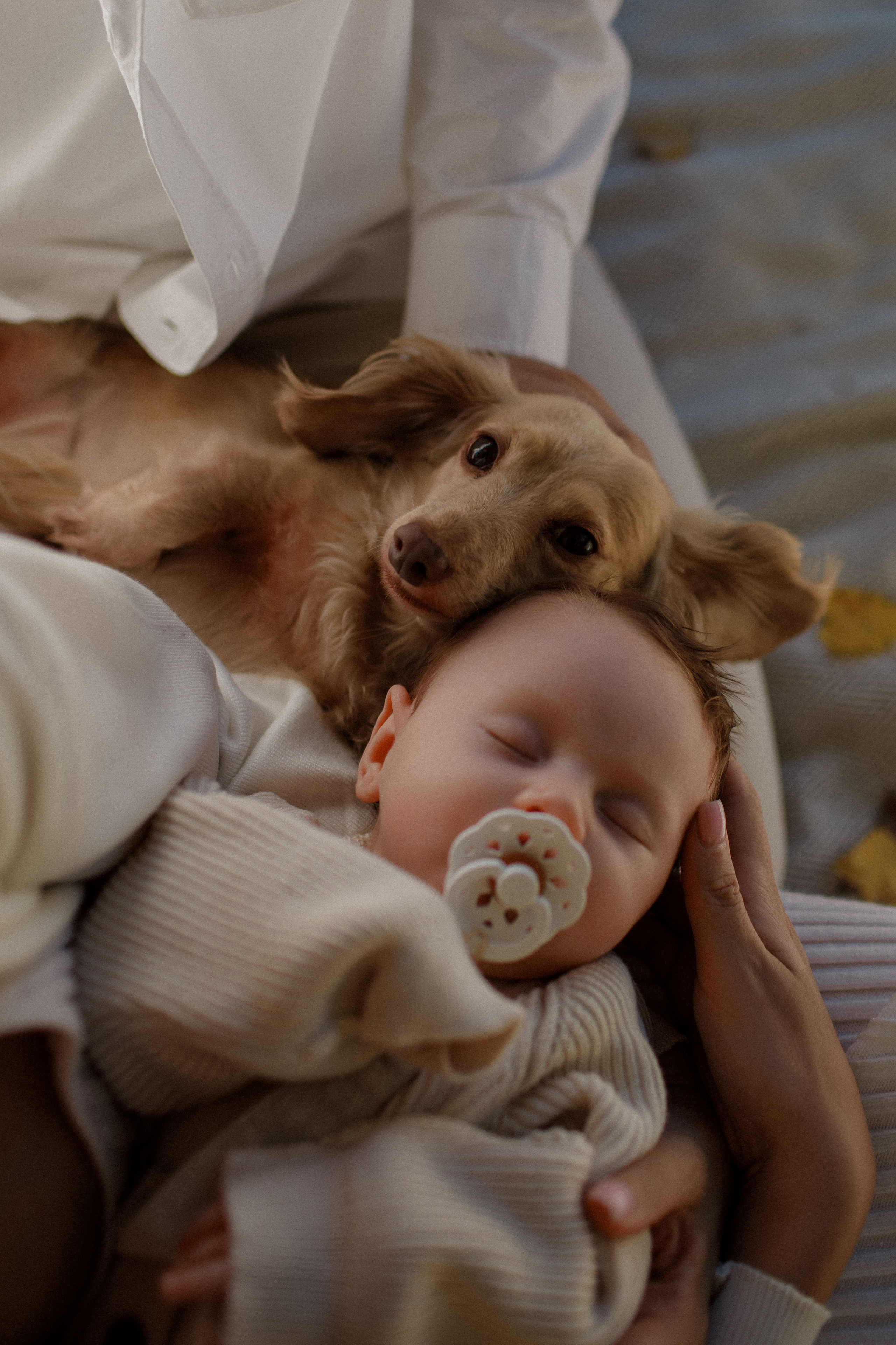 Фотосессии в цветении Москва семейный фотограф