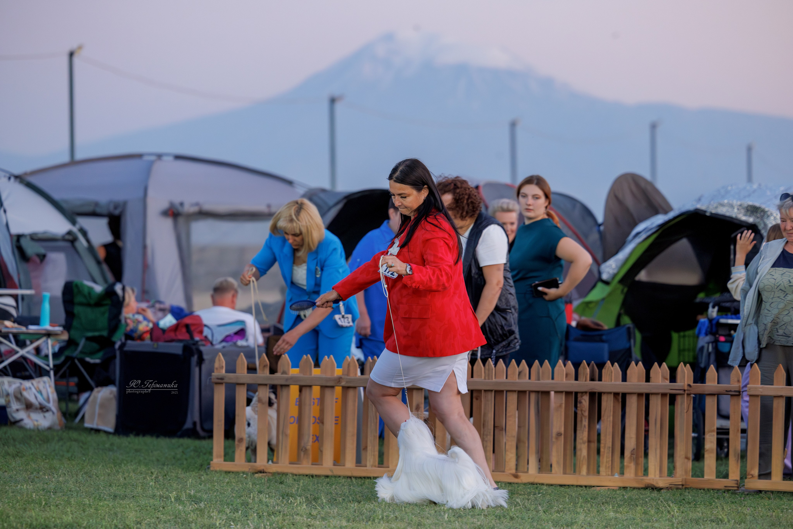 Ереван 3хCACIB 23-25.06.2025. Фотограф-анималист Юлия Германика