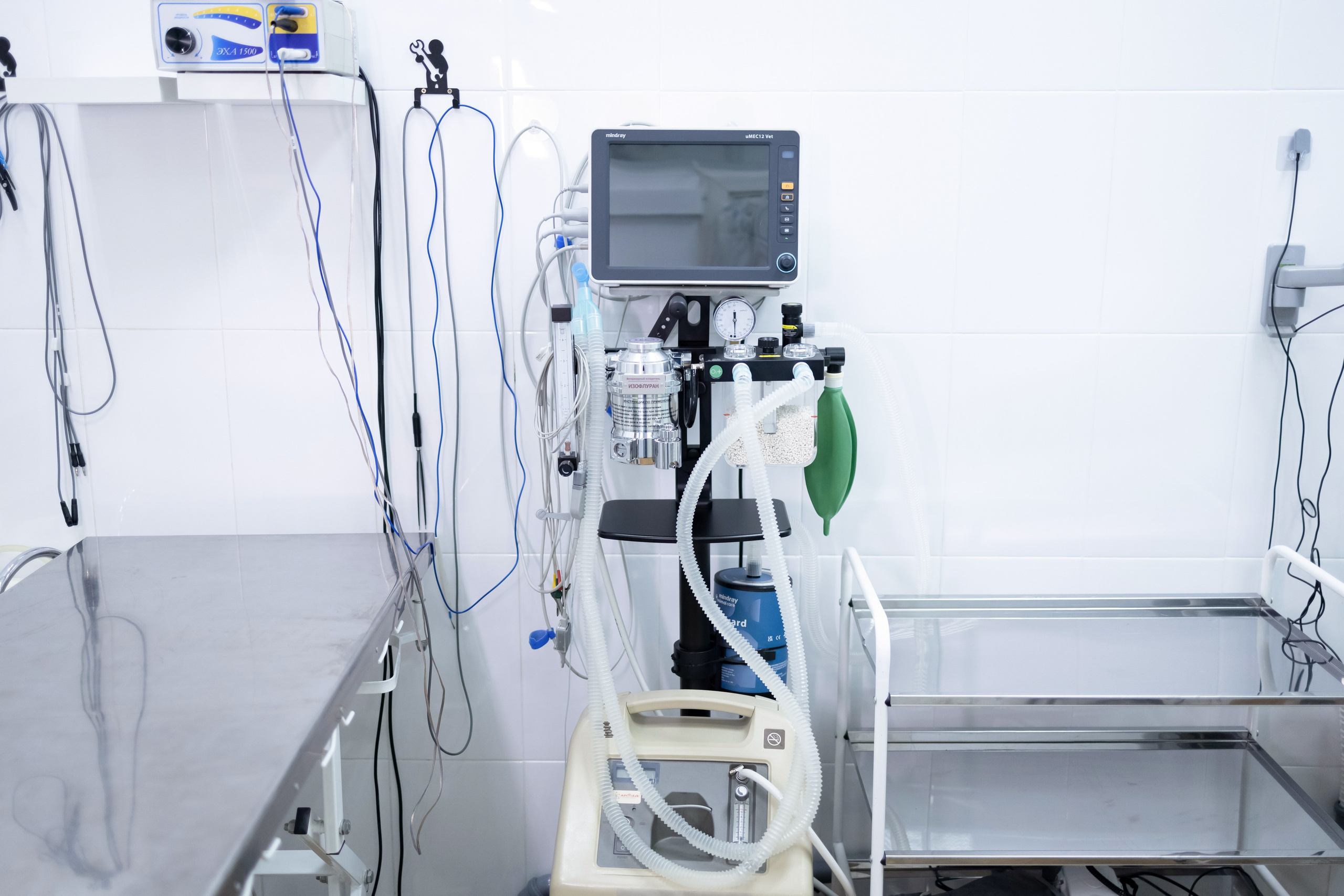 Ветеринарная клиника