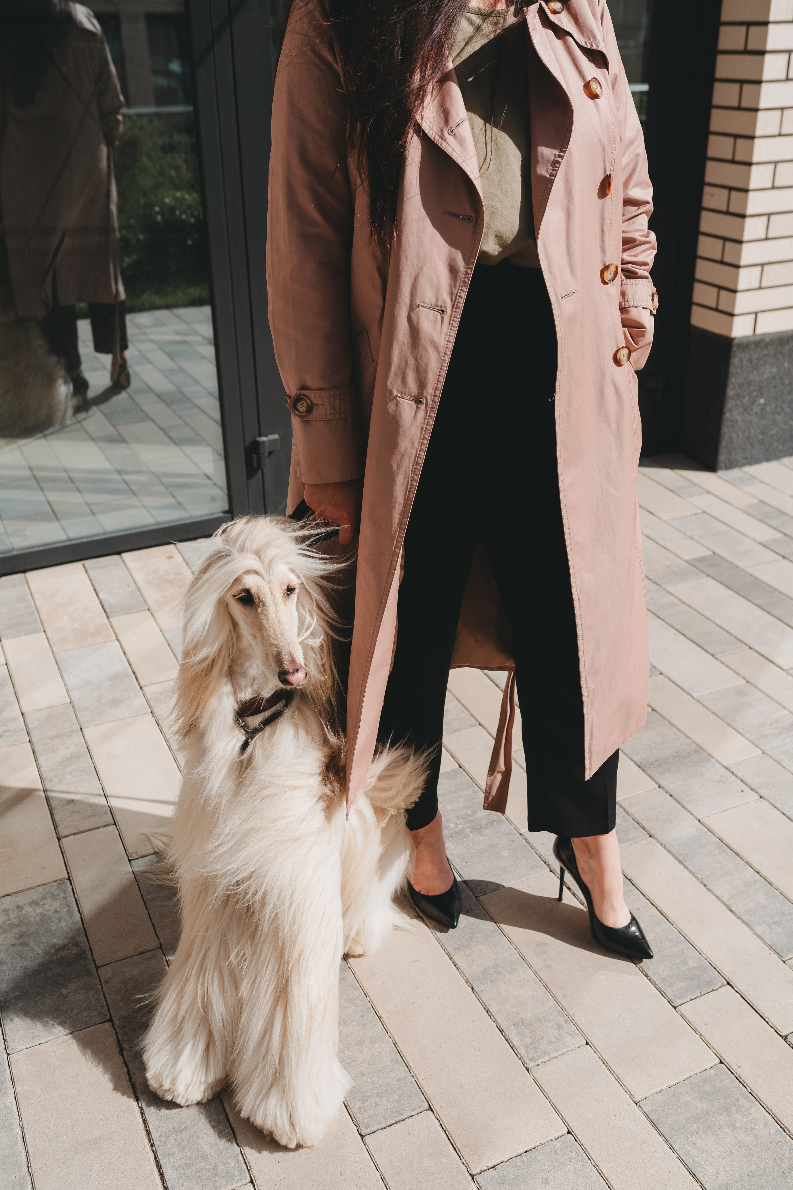 Груминг — салон. Фотограф анималист Осипчикова Мария