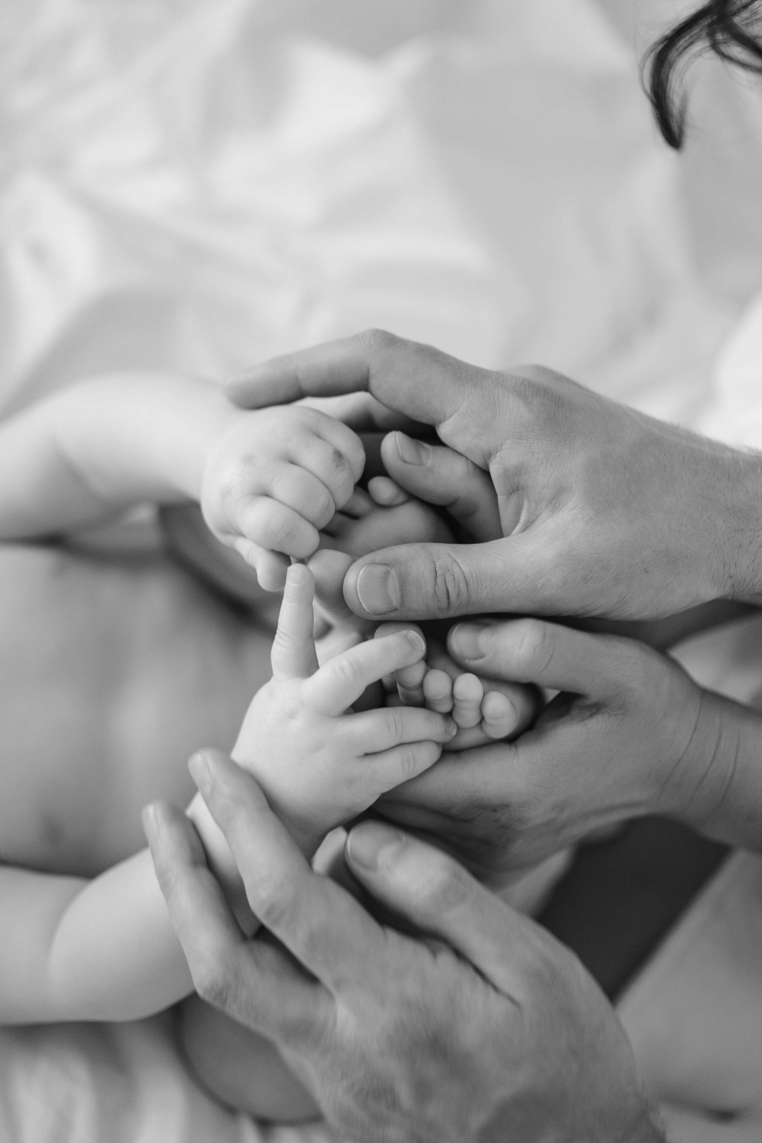 Семья Кирилла и Ольги. Главная