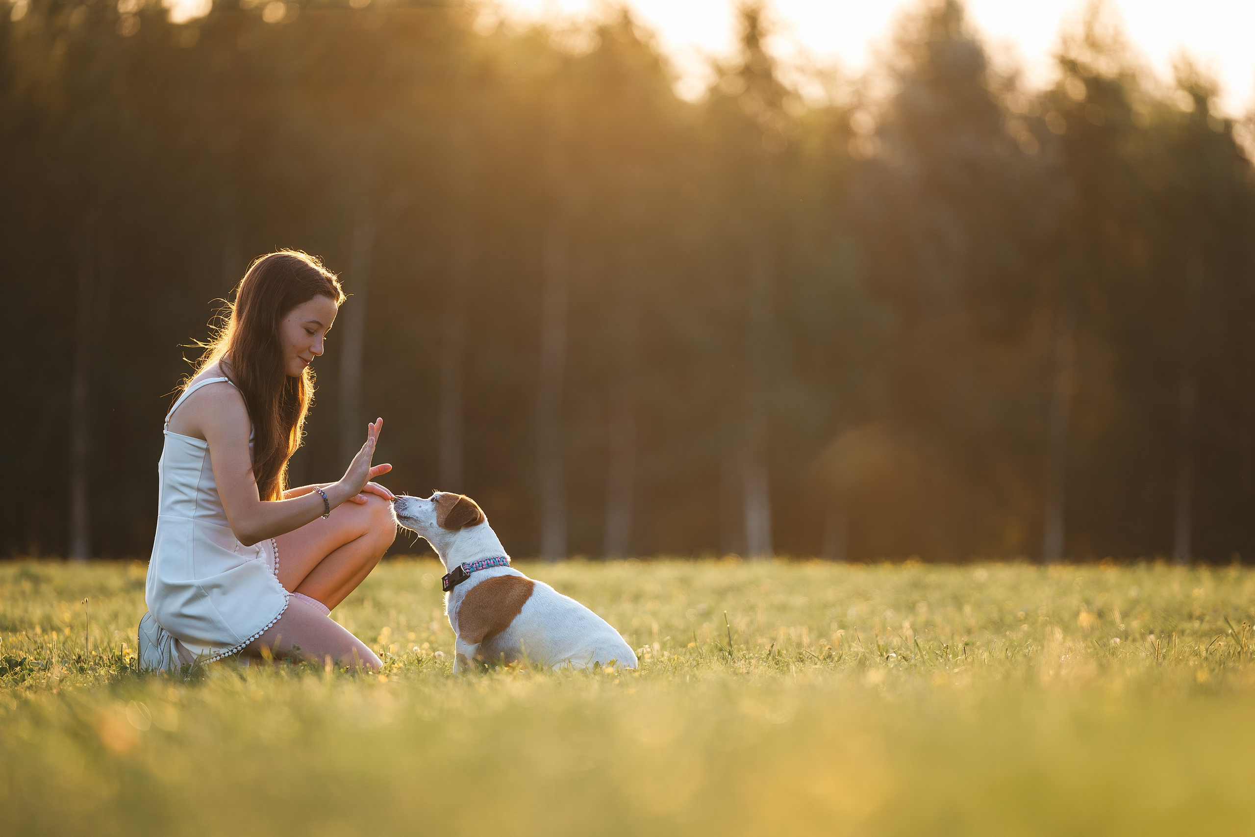 Юлиана и Риф (в обработке). Фотограф Анималист в Москве Анастасия Жучкова