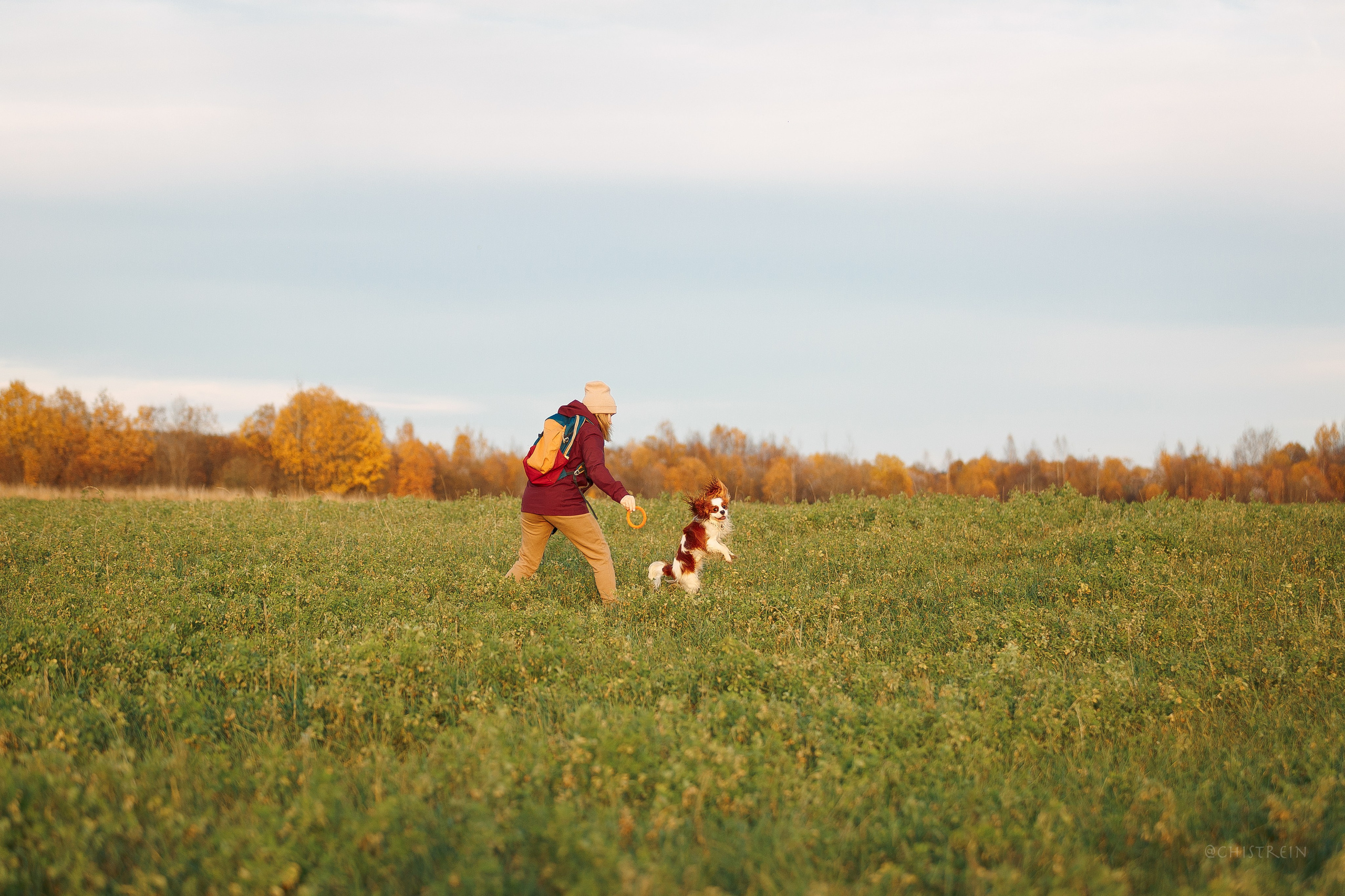 Октябрьский закат в полях. Алина и Лео. Фотограф-анималист Наталия Чистюхина в г. Сосновый Бор и ЛО