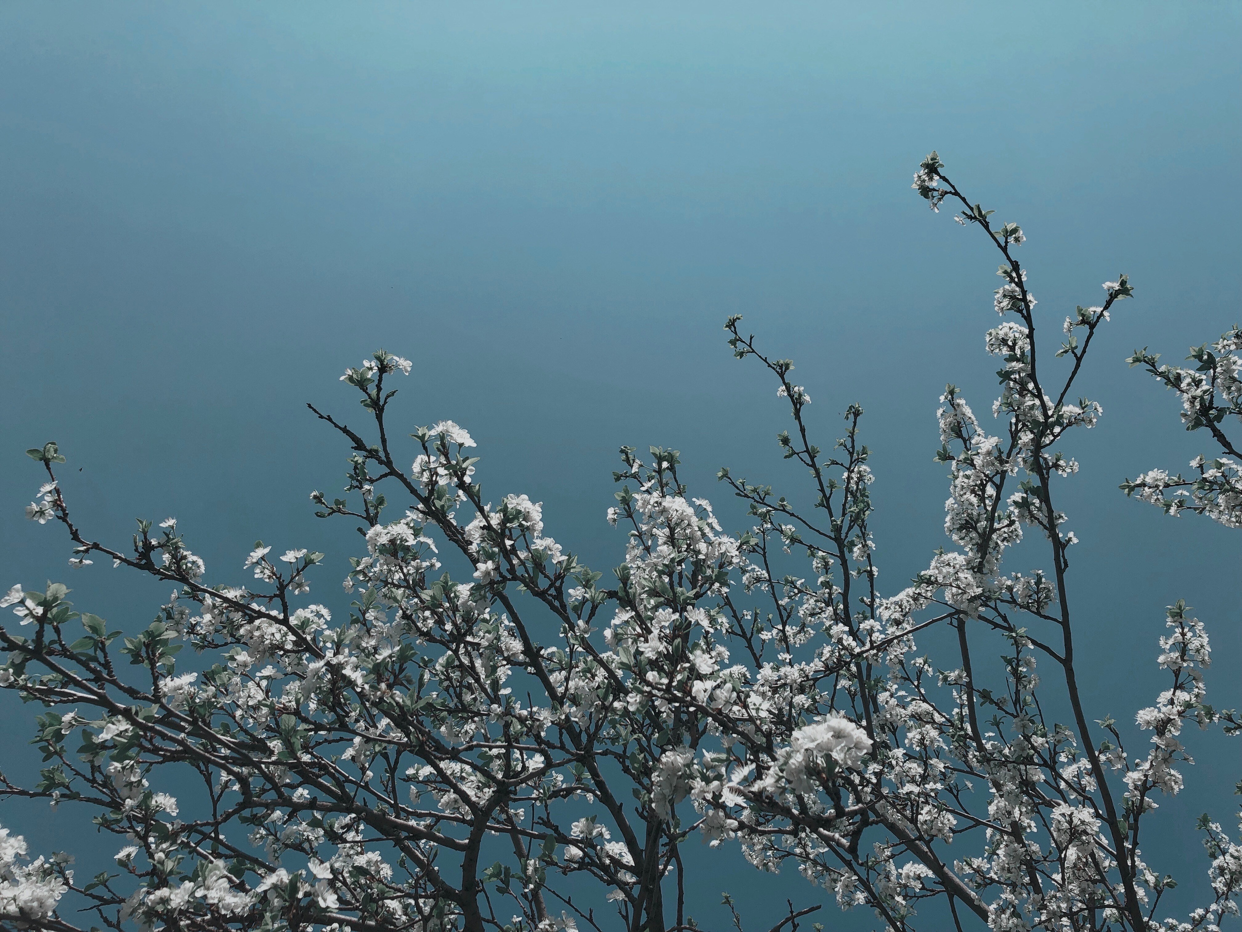 Визуальный дневник. Портретный фотограф в Москве Гахраманова Екатерина