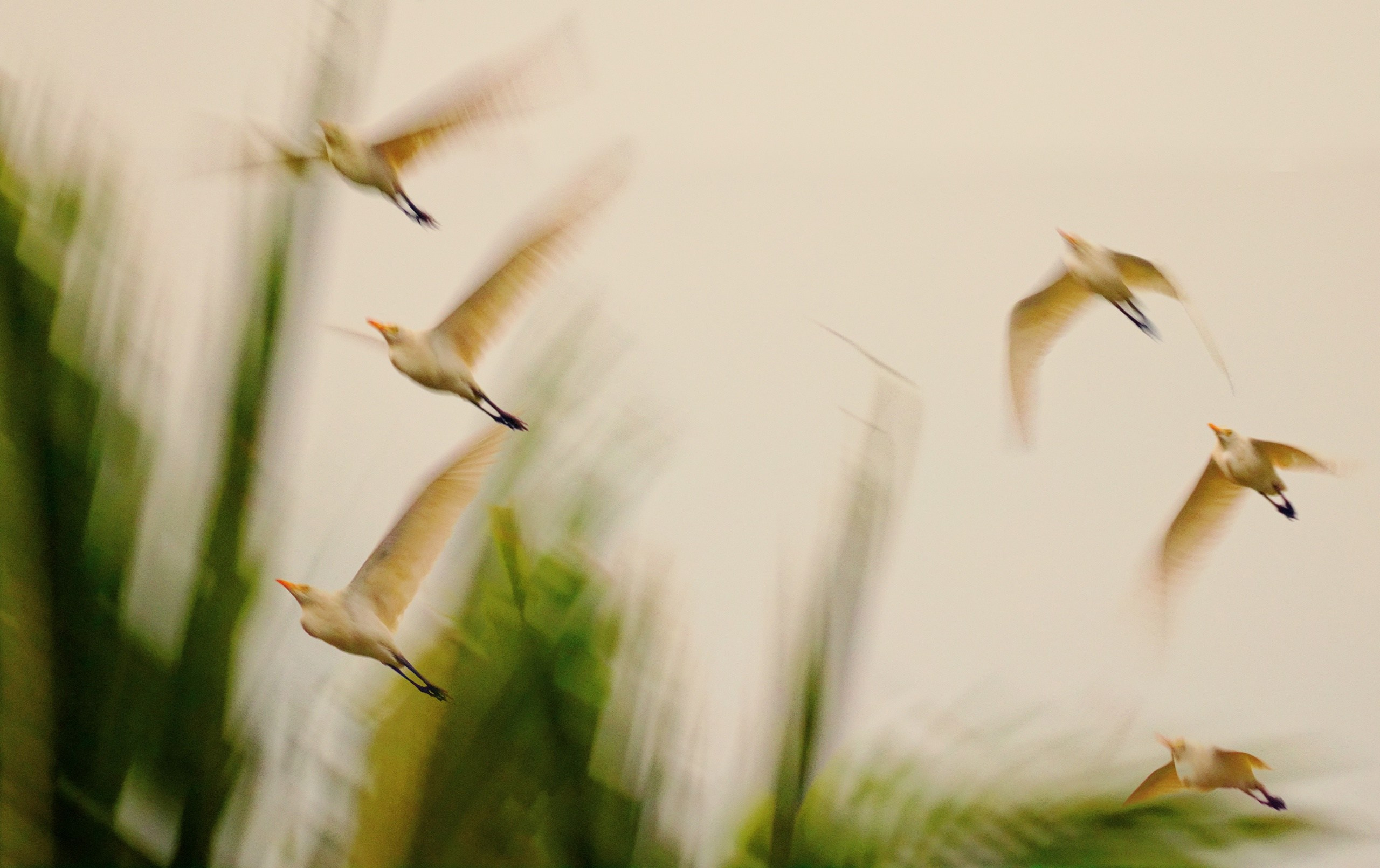 ПРИРОДА. Слепки времени. Фотографии природы и событий. Москва. Сергей Аллагулов