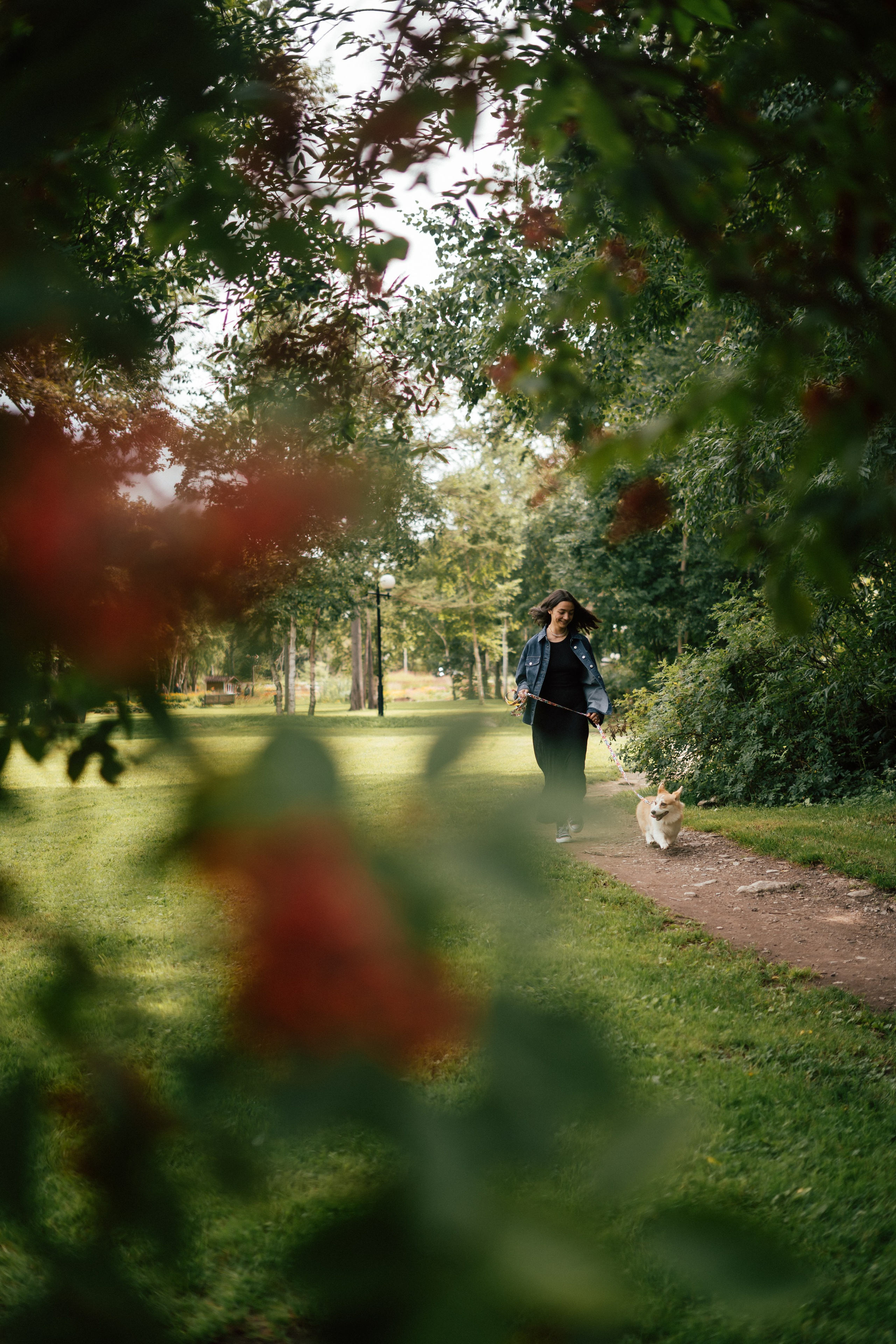 Фотосессия с собакой сахалин. Фотограф сахалин
